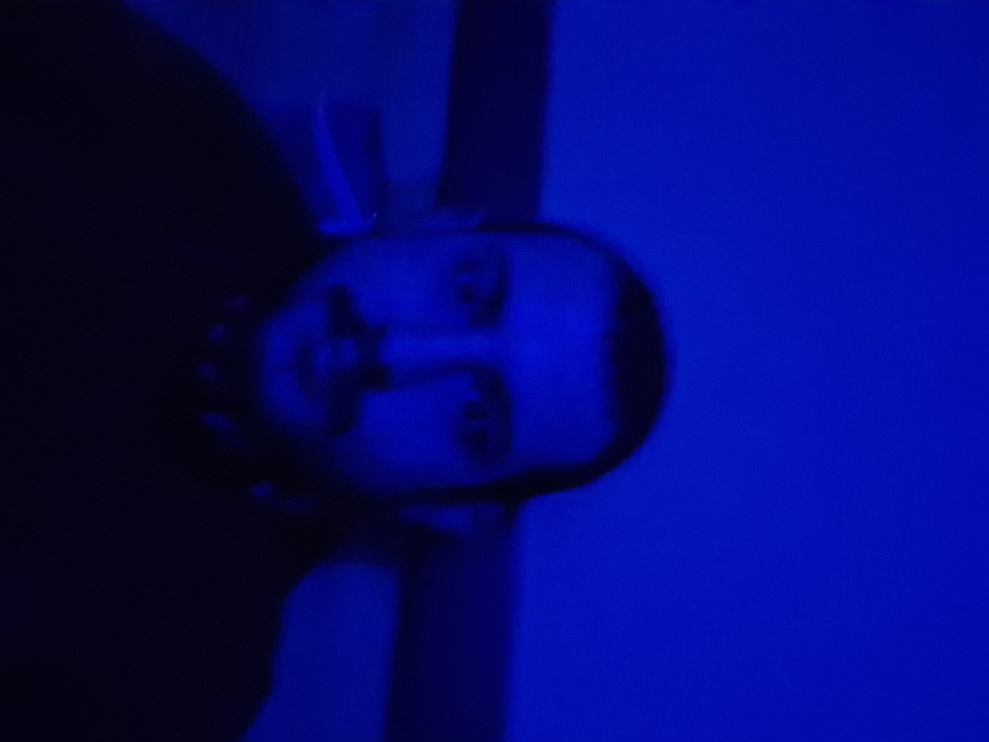 A headshot of a person with short hair and a beard is illuminated in blue lighting. The person is wearing a dark shirt. The background is blurry. There is a vertical dark stripe behind the person. The setting is unknown.