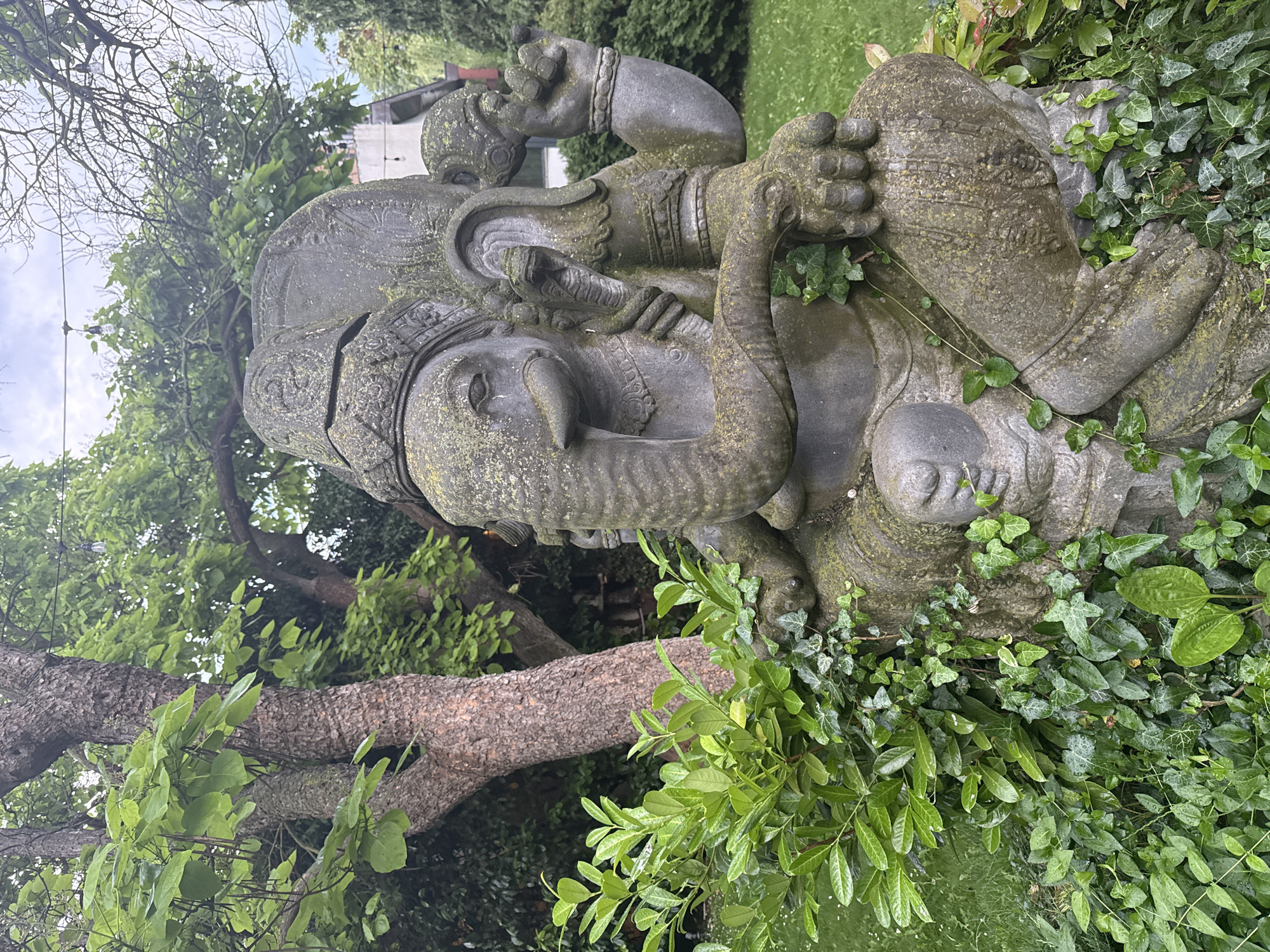 A stone statue of Ganesha, a deity from the Hindu pantheon, is seated in a garden. The statue is weathered and covered in moss and lichen, suggesting it has been outdoors for some time. Ganesha is depicted with his characteristic elephant head and multiple arms, some of which are adorned with bracelets. The statue is surrounded by lush green foliage, including ivy that climbs up the statue itself. In the background, a large tree with textured bark stands prominently, its branches heavy with green leaves. Further back, a building and more trees are visible, indicating an urban or suburban setting. The sky is overcast with scattered clouds. The scene is calm and serene. There are no people present in the image. The statue is located in the city of Varna, Bulgaria.