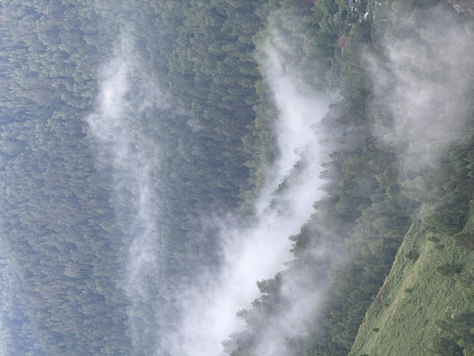 This aerial photograph captures a panoramic view of a densely forested mountainside in the vicinity of Krasnoyarsk, Russia. The scene is characterized by a thick blanket of fog and mist that partially obscures the landscape, creating a serene and ethereal atmosphere. The foreground features a steep, grassy slope dotted with scattered trees, which gives way to a vast expanse of evergreen and deciduous trees that cover the undulating terrain. The fog weaves through the trees, creating a dramatic contrast between the shadowed depths of the forest and the illuminated peaks. In the background, hints of human settlement are visible, with small clusters of houses nestled among the trees, suggesting the presence of a village or rural community. The overall impression is one of natural beauty and tranquility, with the fog adding a sense of mystery and wonder to the mountainous region.