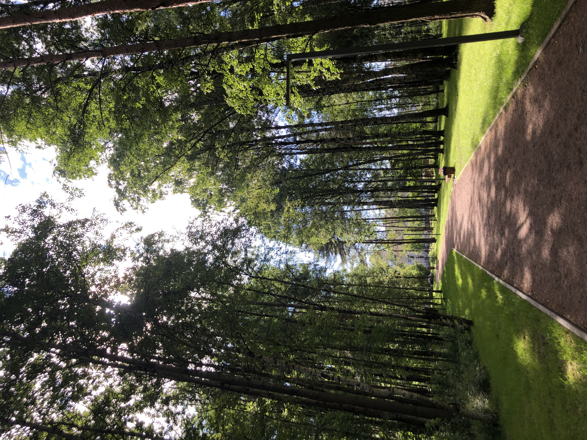 A low-angle, medium shot captures a sun-dappled pathway through a park. The pathway, made of reddish-brown gravel, curves gently to the right, bordered by bright green grass. Tall deciduous trees with sparse foliage line both sides of the path, their trunks a mix of pale birch and darker bark. Sunlight filters through the leaves, casting dappled shadows on the grass and path. In the distance, a lone figure walks away from the camera on the path, and a park bench and trash can are visible to the right. The sky above is blue with scattered white clouds. The scene appears to be in a city park in Saint Petersburg, Russia, given the presence of birch trees and the characteristic architecture suggested by distant buildings.