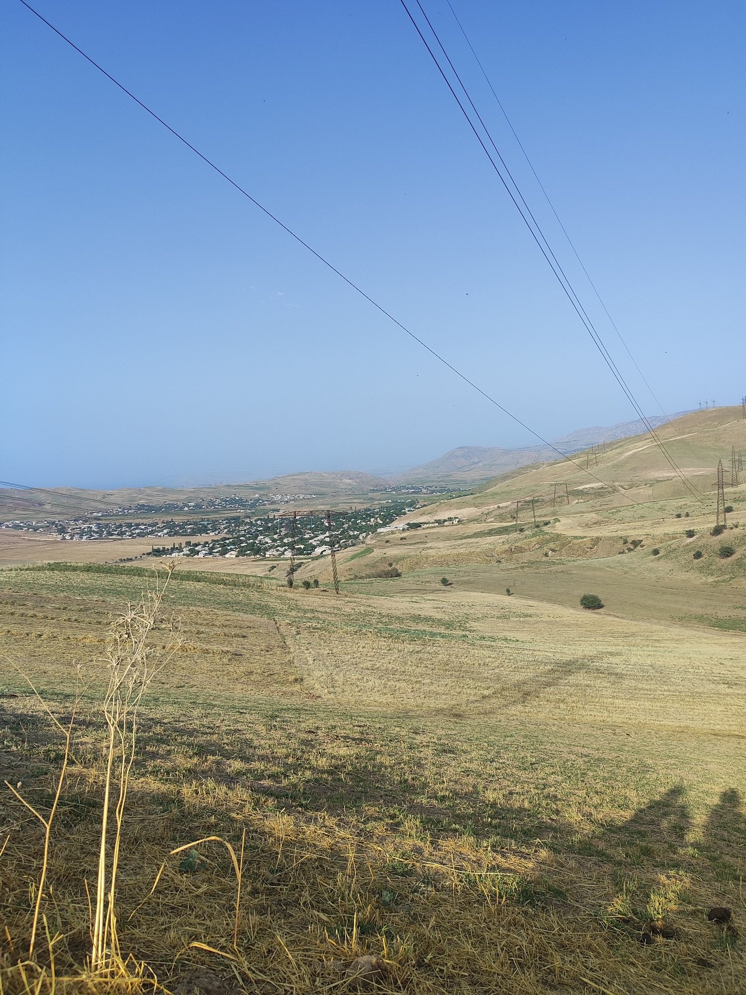 The image depicts a panoramic view of a rural landscape near Sultanabad, Tajikistan. The foreground is dominated by dry, golden grass and a tall, thin, dead plant stalk. In the middle ground, a sprawling village with numerous white-roofed houses is nestled in a valley, with green trees interspersed among the buildings. Several power lines and electricity pylons traverse the scene, connecting the village to the wider landscape. The background consists of rolling hills and mountains under a clear, light blue sky. The overall impression is one of a serene, sun-drenched rural setting.