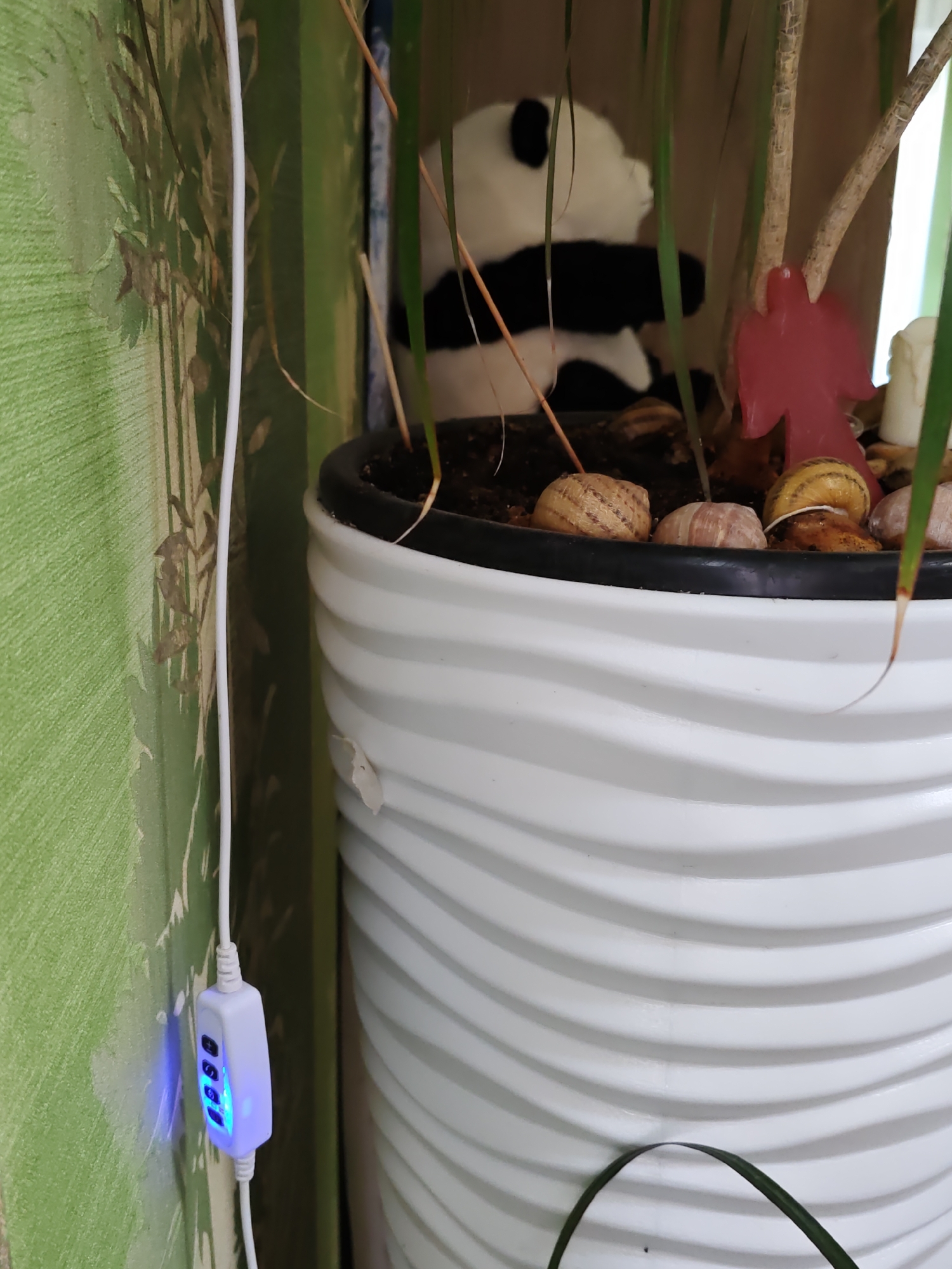 The image shows a close-up view of a white planter with a wavy design. Inside the planter, there are several snail shells and a small panda plush toy. A pink angel figurine and a white candle are also visible. To the left of the planter, a white cord hangs down, connected to a small white control box with blue lights. The background features green wallpaper with a subtle floral pattern. The scene is likely indoors, possibly in a residential setting. The location of Rostov-on-Don, Russia, is not directly discernible from the visual elements in the image.