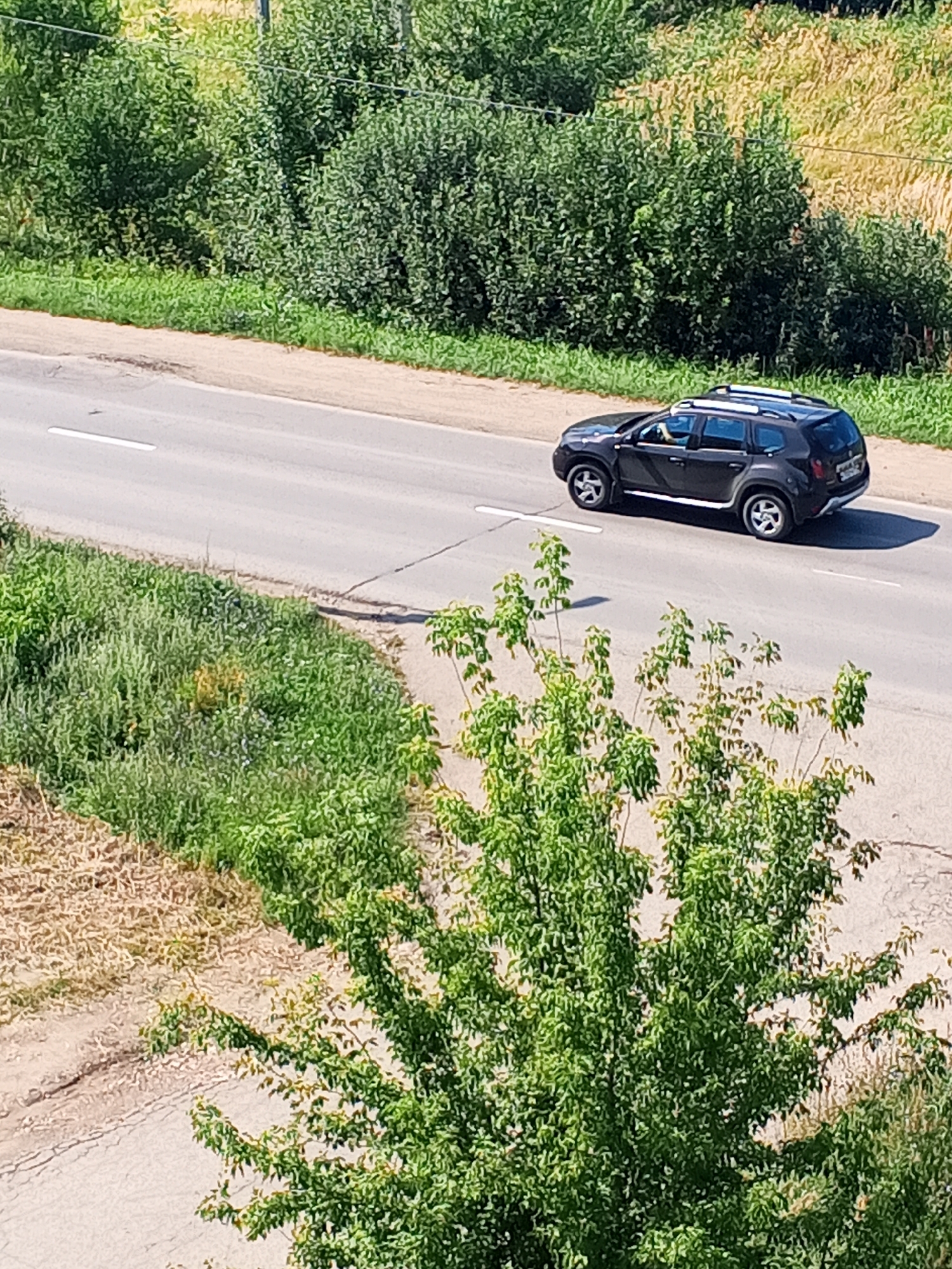 An aerial view shows a dark-colored SUV driving on a paved road. The road has a white dashed line marking the center. The vehicle is angled slightly away from the camera, with its front facing left. Lush green trees and bushes line the sides of the road, with a field of dry grass visible in the upper right quadrant. The scene appears to be in a rural or suburban area.