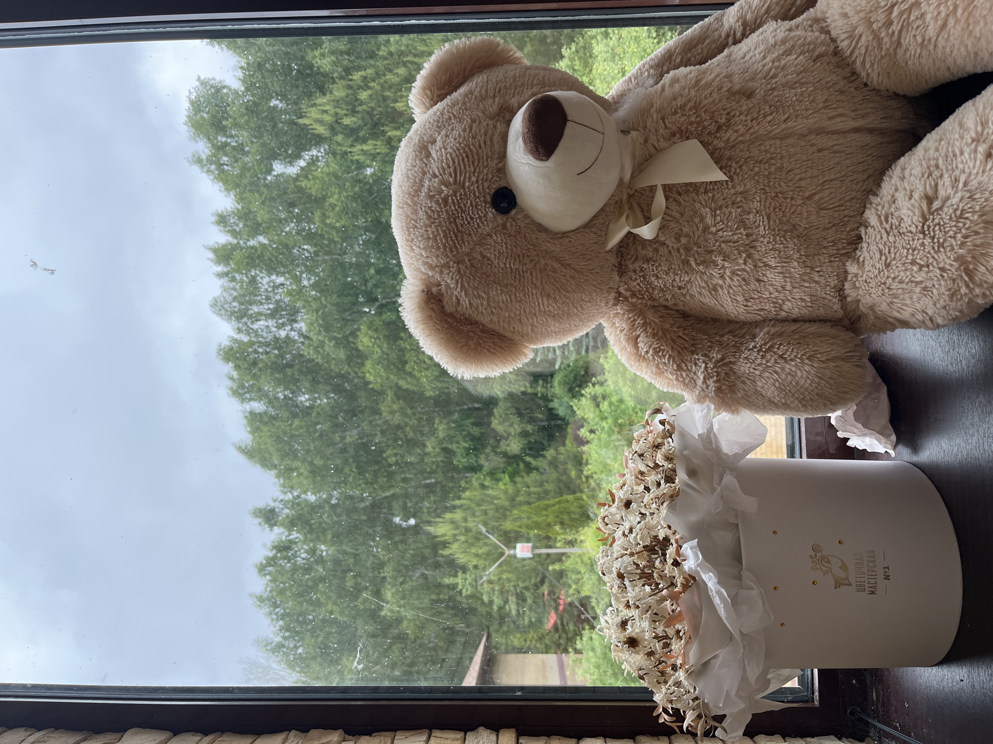 The image displays a still life composition of a plush teddy bear and a box of dried flowers, set on a dark window ledge or sill. The image is oriented with the window frame running vertically along the left and right sides.
On the left, the window offers a view of lush green trees under an overcast, grey sky. Some dust or moisture marks are visible on the window pane. A faint structure, possibly a utility pole or a cross-shaped sign, can be seen amidst the distant trees.
A large, light brown teddy bear occupies the upper portion of the scene. It lies on its side, facing towards the top-left, with its cream-colored snout and a light beige ribbon tied around its neck clearly visible. Its soft, shaggy fur texture is prominent.
To the lower right of the teddy bear, a white cylindrical flower box is placed. It holds a bouquet of dried white flowers, resembling daisies or chamomiles, interspersed with some dry foliage and ruffled white paper. The box features gold lettering in Cyrillic, which reads "ЦВЕТОЧНАЯ МАСТЕРСКАЯ № 1" (Flower Workshop No. 1), along with a golden logo depicting a stylized bird or owl.
The time of day is daytime, but the overcast sky indicates cloudy weather. The scene, located in Ореховка, Russia, suggests an indoor setting looking out onto a natural, possibly rural or suburban, environment. The overall mood is calm and perhaps slightly melancholic due to the dried flowers and grey sky.
