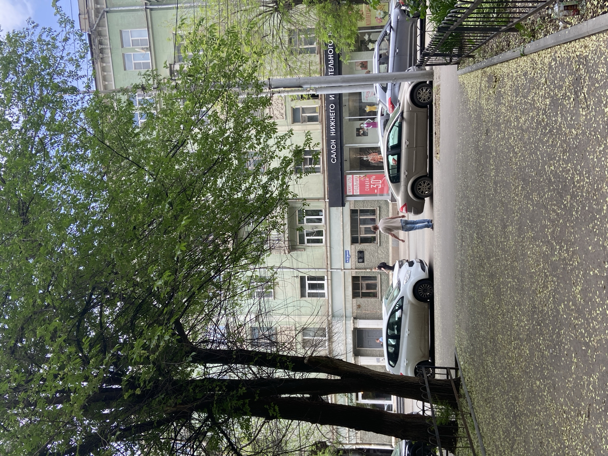 The image depicts a street scene in Saratov, Russia. A building with green exterior paint is visible with the word "САЛОН НИЖНЕГО И ТЕЛЬНОГО" in Cyrillic script and "-30%" on the storefront. A sidewalk runs along the side of the building. A tree with lush green foliage is in the foreground. Three parked cars are positioned parallel to the sidewalk. Two people are standing near the cars. The street is covered in small yellow petals. A metal fence is visible along the sidewalk's edge.