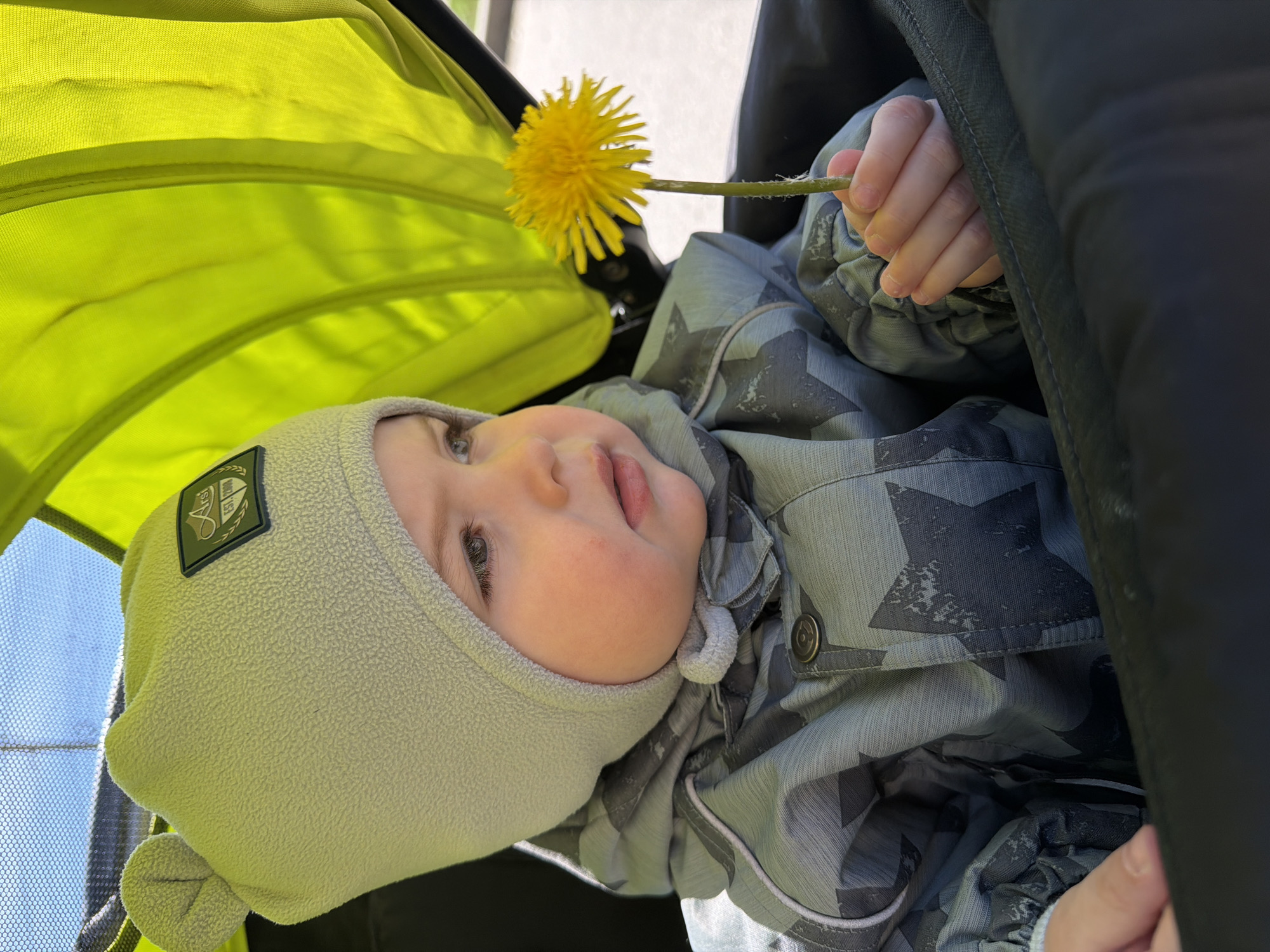 A young child, likely an infant, is seen in a stroller. The child is wearing a light green fleece hat with ear details and a grey and green patterned jacket with star motifs. The child holds a dandelion in its right hand. The stroller has a lime green canopy. The location and specific details about Votkinsk, Russia are not identifiable from this image alone.