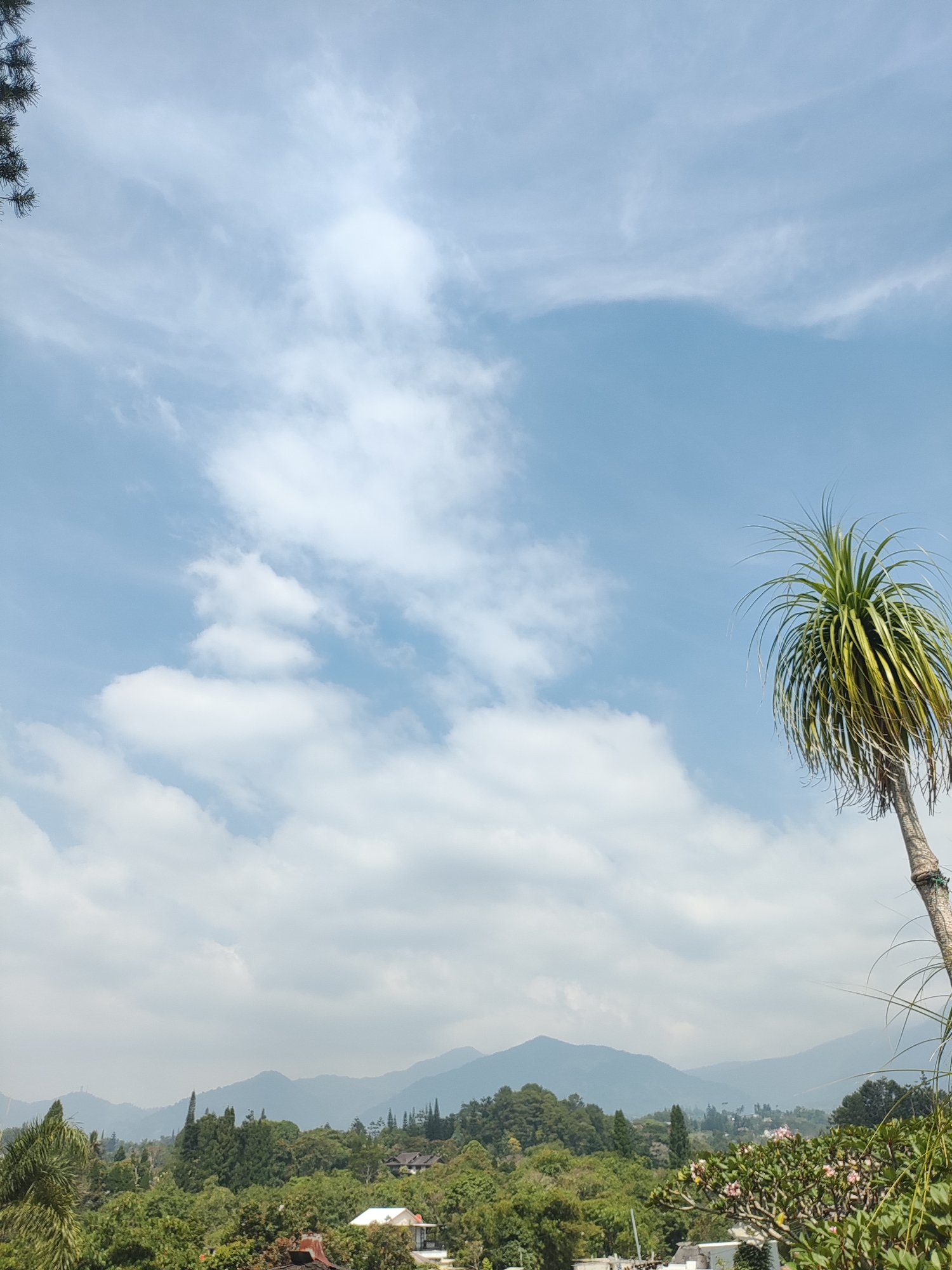 The image depicts a wide, panoramic view of a lush, green landscape with a clear blue sky and scattered white clouds. In the foreground, a tall, thin tree with spiky green leaves stands on the right side of the frame, its trunk partially visible. The middle ground is dominated by dense, rolling hills covered in a variety of trees, with glimpses of houses and buildings nestled amongst the foliage. In the distance, a series of hazy, blue mountains form the backdrop. The overall impression is one of a serene, natural environment, likely a residential area situated in a mountainous region. This scene is characteristic of the scenic beauty found in Cisarua, Indonesia, a popular highland resort town known for its natural attractions and cooler climate.