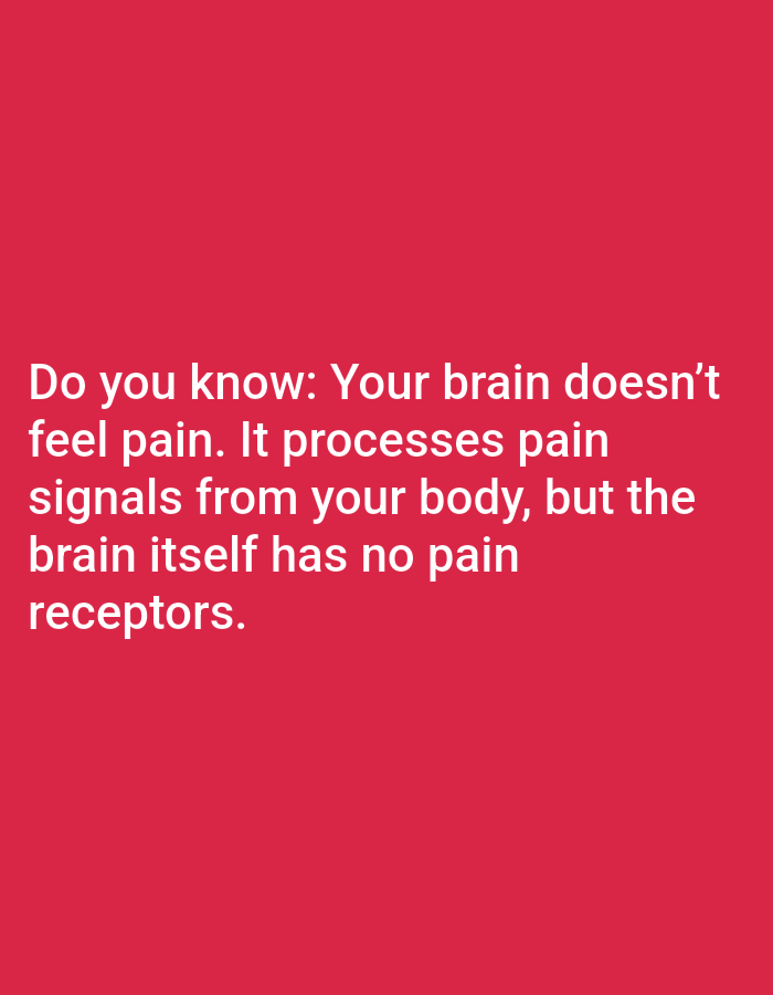 The image is a close-up, medium shot of a red background with white text. The text reads: "Do you know: Your brain doesn't feel pain. It processes pain signals from your body, but the brain itself has no pain receptors." The text is centrally located and occupies the lower half of the image. There is no discernible location within a city.