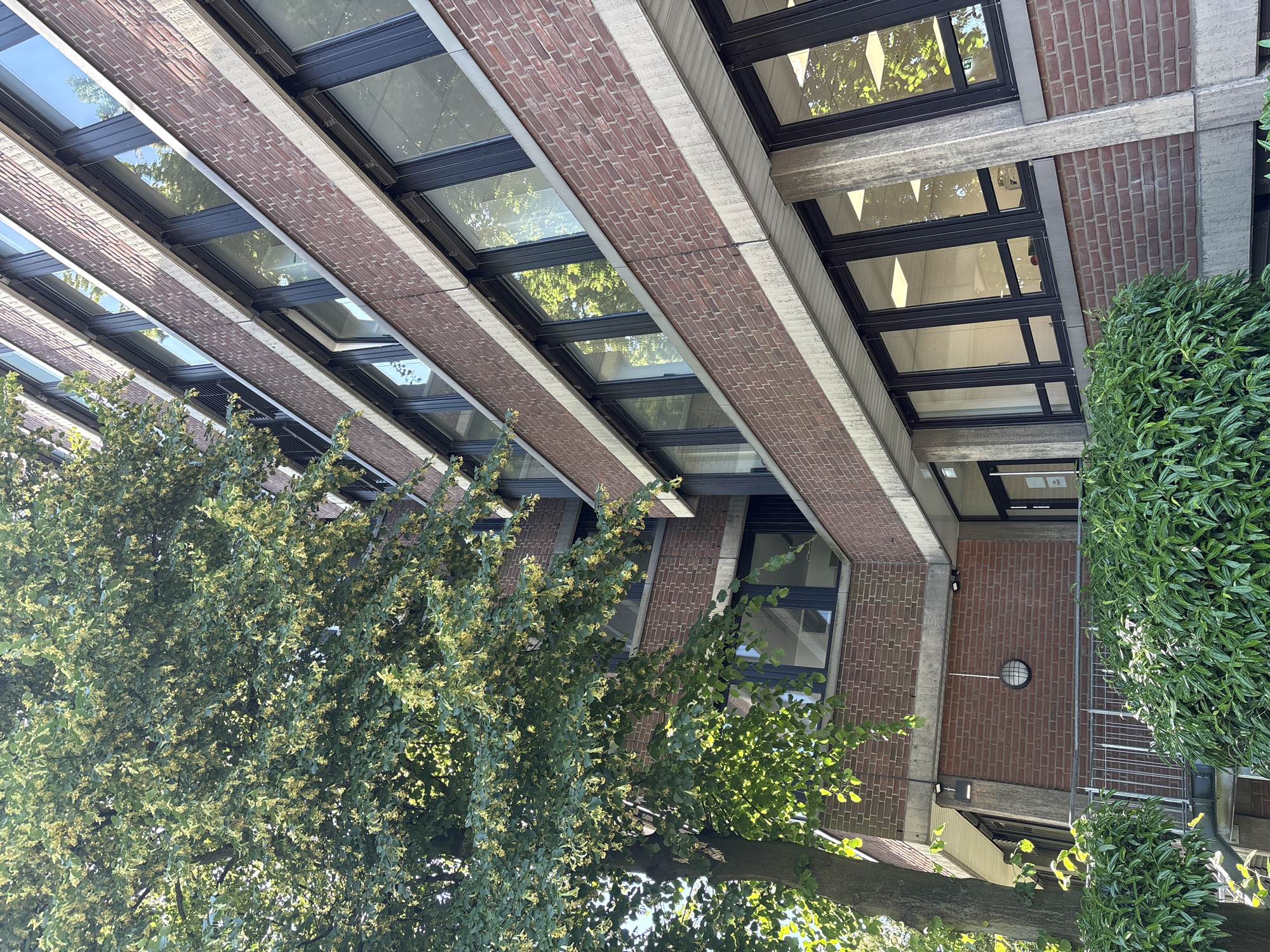 A low-angle outdoor, full shot captures the exterior of a multi-story brick building, likely an office building or dormitory, located in Mönchengladbach, Germany. The building features numerous dark-framed windows. A large, mature tree with green leaves and small yellow blossoms is prominent on the left side of the frame, partially obscuring the building. Lush green bushes are visible in the foreground at the base of the structure, and a metal railing runs along a walkway. The sky is visible at the top of the image, indicating it is daytime with bright sunlight.