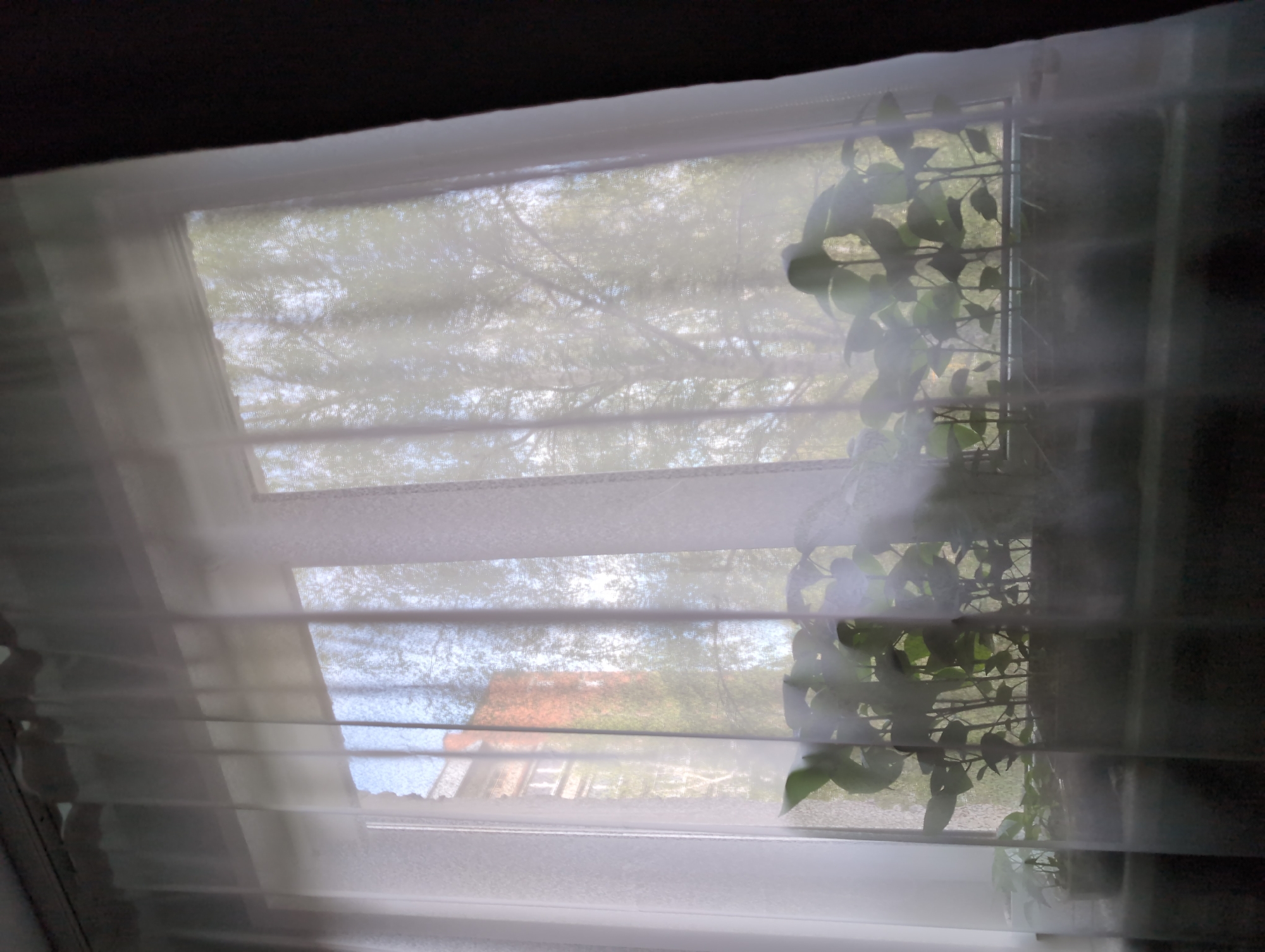 The image depicts a window with sheer white blinds, partially obscuring the view outside. Through the blinds, one can discern foliage and a building with a reddish-brown roof. The light suggests it is daytime. A potted plant is positioned in front of the window. The exact location in Izhevsk, Russia, cannot be determined from the image. No people are visible.