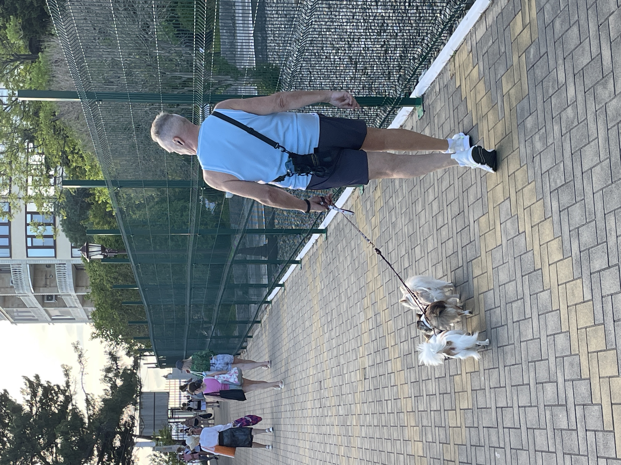 A man in a light blue tank top and dark shorts walks away from the camera on a paved walkway, holding the leashes of three small dogs. The dogs are walking in front of him. The man has short, graying hair and is wearing white athletic shoes. He has a black bag slung across his chest. In the background, a green metal fence runs along the right side of the walkway. Beyond the fence, there are gravel and some greenery. On the left side of the walkway, several people are walking in the same direction as the man. There is a building with balconies and trees in the distance. The walkway is paved with rectangular bricks in shades of gray and yellow. The scene appears to be outdoors in a public area, possibly a promenade or park. The overall lighting suggests it is daytime, possibly late afternoon or early evening, given the warm tones of the paving stones. The architecture of the building in the background, with its balconies and rounded elements, is consistent with resort or residential architecture found in coastal areas like Sochi, Russia.