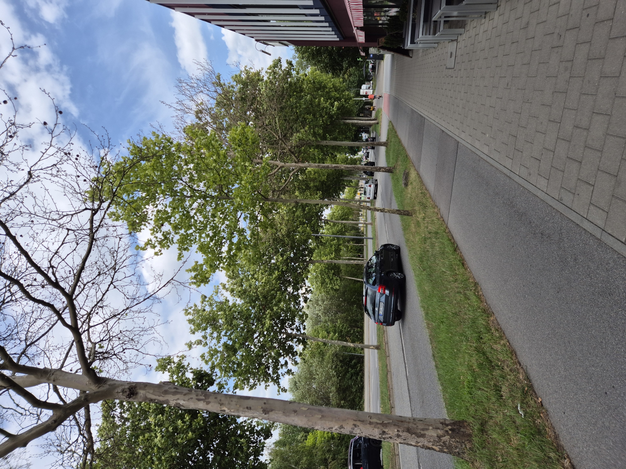 A sidewalk runs alongside a street lined with trees in Regensburg, Germany. A dark-colored car drives on the street, while a person on a bicycle is visible in the distance. The sidewalk is made of brick pavers, and there are tables and chairs set up outside a building on the right side of the frame. The sky is blue with scattered clouds. The scene appears to be a commercial or residential area with a clear walkway and road.