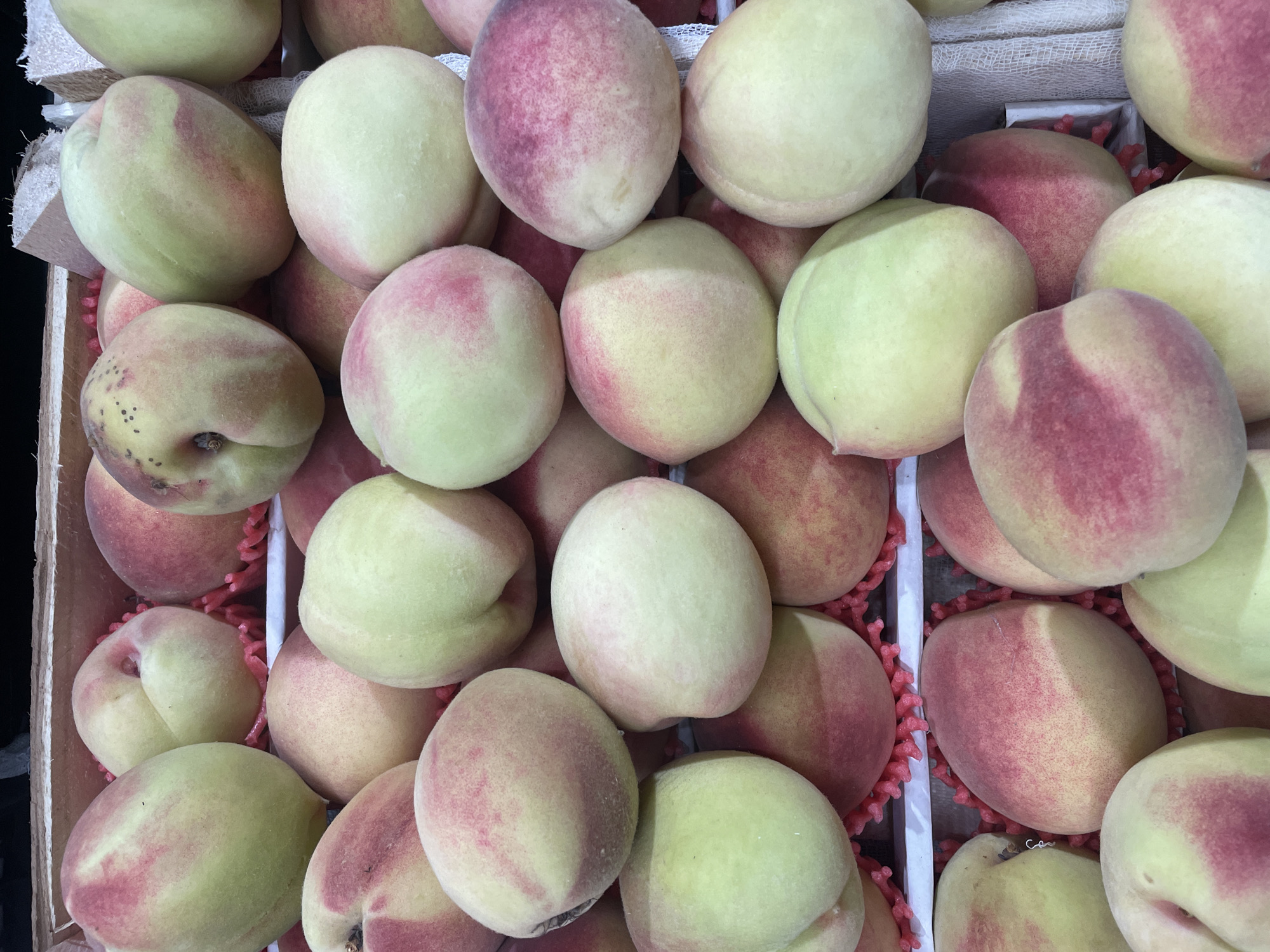 A close-up, overhead shot captures a display of fresh peaches arranged in a wooden crate. The peaches vary in color, with some predominantly green and others showing a gradient of blush pink and red hues. The skin of the peaches appears fuzzy and ripe. Some peaches are nestled in red protective foam packaging. The background consists of the wooden crate and a hint of white fabric. The overall impression is of a fresh produce market, possibly in Almaty, Kazakhstan, given the context provided. There are no people or animals visible in the image.
