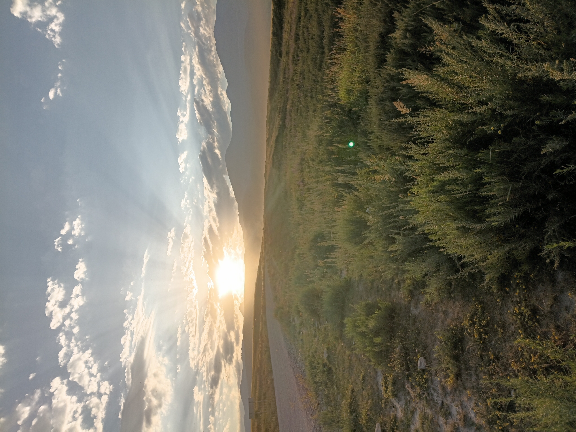The image shows a vast, open landscape at sunset, with the sun’s rays breaking through scattered clouds. In the foreground, a dirt road curves through a field of green vegetation and dry brush. In the middle ground, the landscape extends to a range of mountains, silhouetted against the bright sky. The sky itself is a gradient of blues and whites, with the sun prominently positioned near the horizon, casting a warm, golden light. There are no people or animals visible in the image. The overall scene conveys a sense of natural beauty and tranquility.