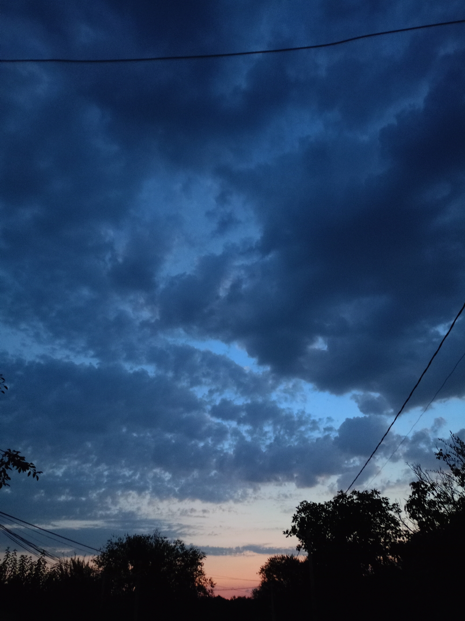 A dusk sky with dark, textured clouds dominates the image. A sliver of lighter blue is visible near the center, suggesting a break in the clouds. Several dark, silhouetted trees and foliage form a line across the bottom of the frame, obscuring the horizon. Electrical wires stretch diagonally across the upper portion of the sky and also appear in the lower left and right. The scene appears to be an outdoor, possibly rural, setting at twilight.