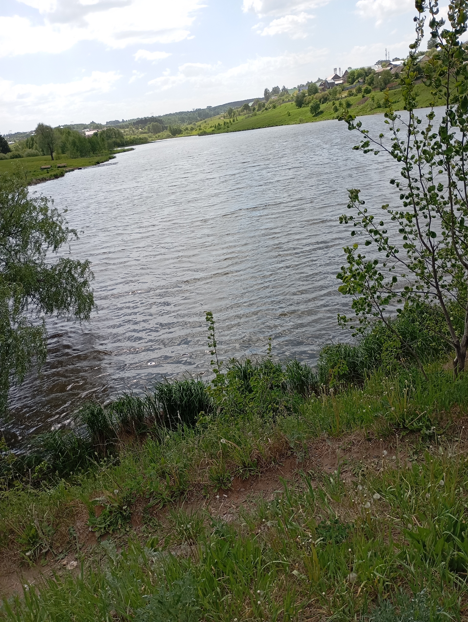 A medium-wide shot captures a tranquil lake on a partly cloudy day. The water has a rippled surface, reflecting the ambient light. In the foreground, a grassy bank slopes down to the water's edge, interspersed with patches of dirt and small plants. Two trees frame the scene on either side. Across the lake, a distant shoreline is visible, with greenery and a few buildings dotting the landscape. The location appears to be a natural setting, likely a park or recreational area near a rural town. The location is Unknown, Unknown.