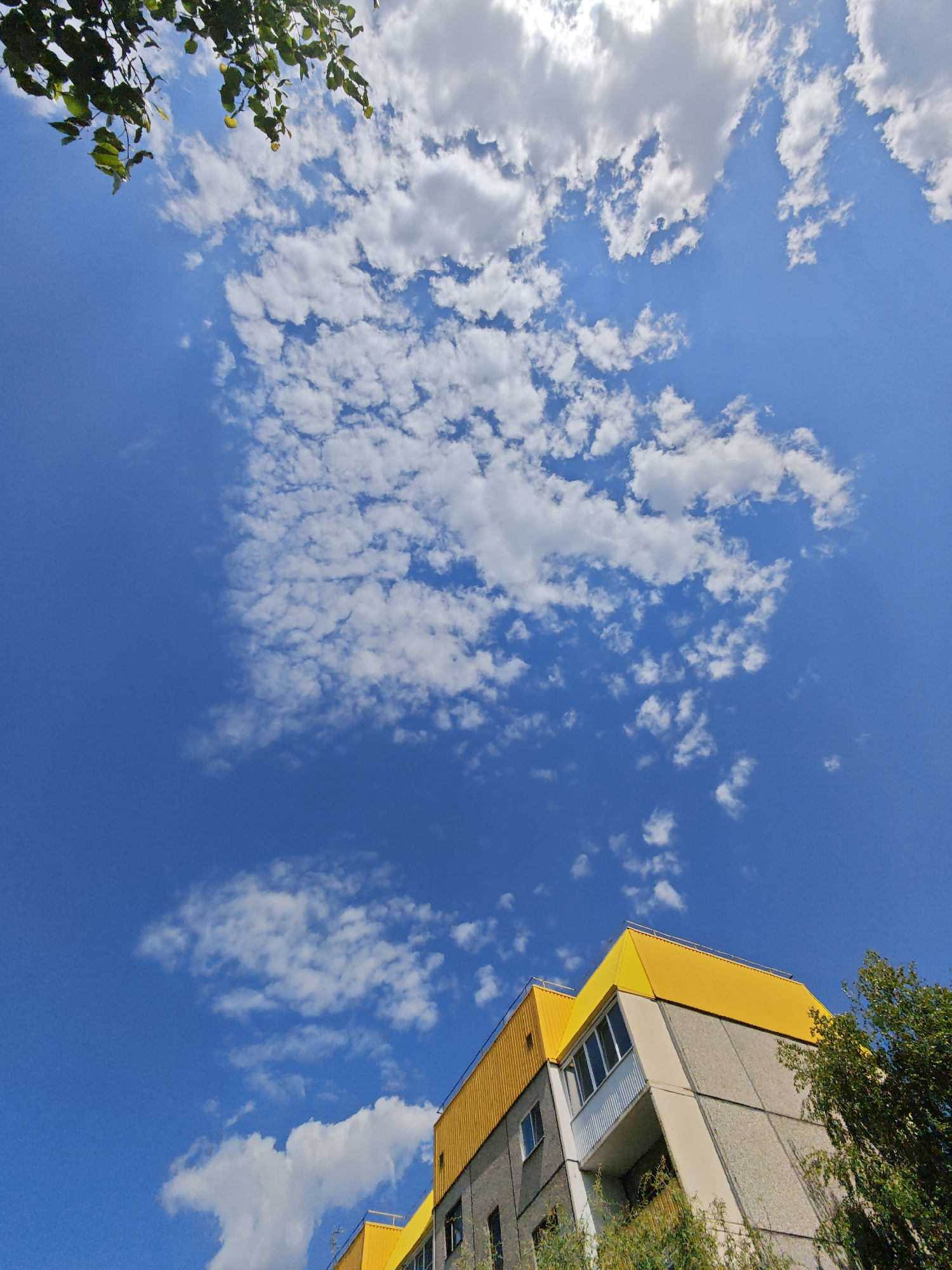 The image shows a building with a yellow roof under a blue sky with scattered clouds. The building appears to be a multi-story residential or commercial structure, with a grey concrete facade. Green foliage from trees partially obscures the lower section of the building. The photograph is taken from a low angle, looking upwards towards the sky. Based on other images of similar structures in the city of Марковский, Russia, it is likely this image was taken there.