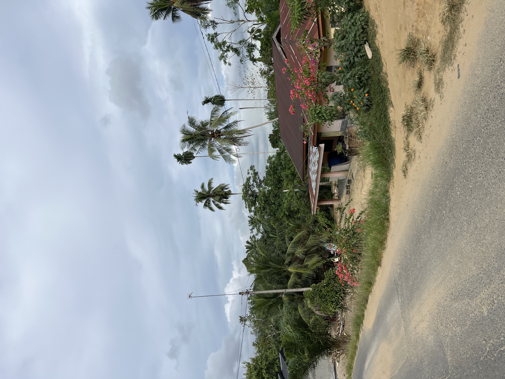 This is a vertically oriented, slightly angled, eye-level photograph taken in Sukajadi, Indonesia, depicting a rural or semi-rural scene under an overcast sky. The most prominent features are a cluster of tall palm trees and a modest, weathered building with a rusted corrugated metal roof. The building appears to be a single-story structure with exposed wooden beams and some of its walls visible. Lush green vegetation, including bushes with small pink and orange flowers, surrounds the building and encroaches on the edges of a dirt and asphalt road.
The road itself curves out of view on the right side of the frame and is partially covered with fine sand and dust, suggesting a dry spell or a dusty environment. A utility pole with electrical wires stands tall among the trees on the left side, indicating the presence of infrastructure. The sky is predominantly gray with patches of lighter clouds and darker, heavier clouds, suggesting an impending rain or a generally humid, tropical atmosphere. The overall mood is somewhat subdued, perhaps indicative of a calm, ordinary day in this location. There is no visible text in the image. The scene suggests a residential area, possibly with a small shop or dwelling.