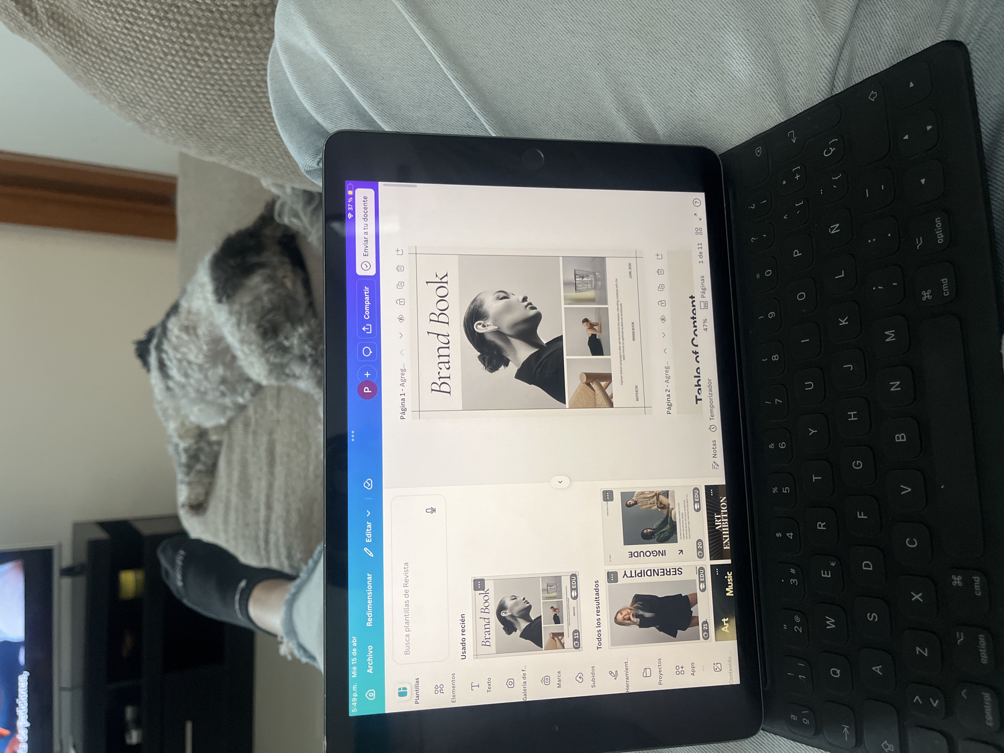 A person is sitting on a light-colored sofa with a black and white dog beside them. They are using an iPad with a black keyboard attached. The iPad screen displays a design editing app with a "Brand Book" template. The person has a black sock on one foot. A black entertainment unit with a television is visible in the background.