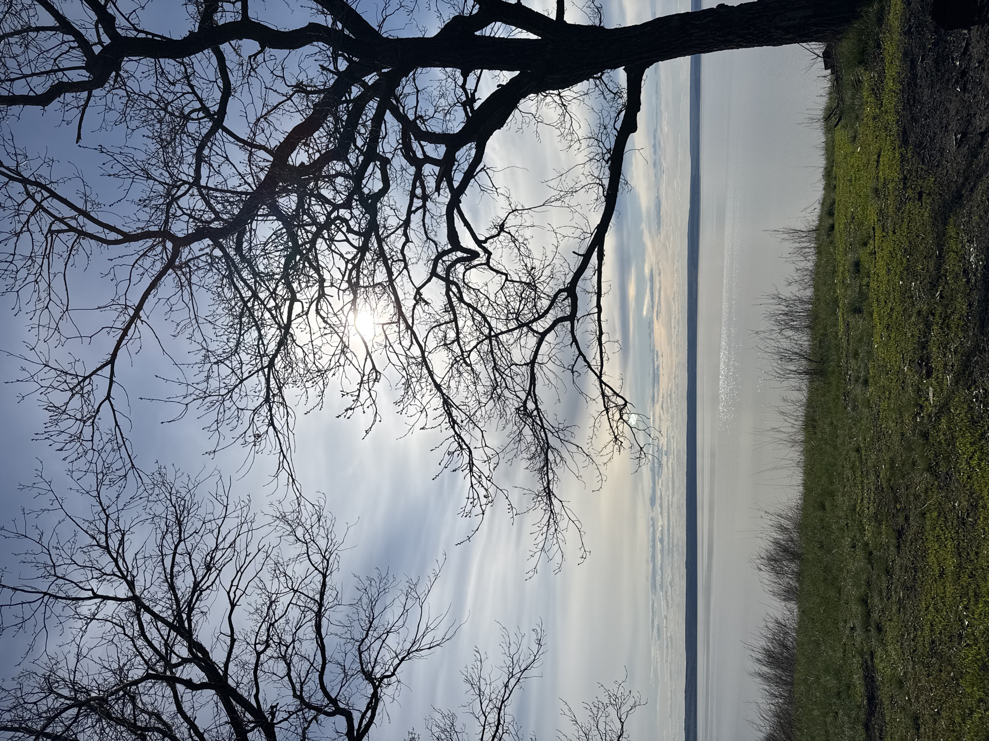 The image shows a landscape featuring a body of water, possibly a lake or sea, with the opposite shore visible in the distance. The water surface reflects sunlight, creating a shimmering effect. The near shore is covered in green vegetation. Bare tree branches, without leaves, dominate the foreground, partially obscuring the sky and the water. The sky is partly cloudy. The sun appears to be shining through the branches. The location is Unknown, Unknown. There are no people present.