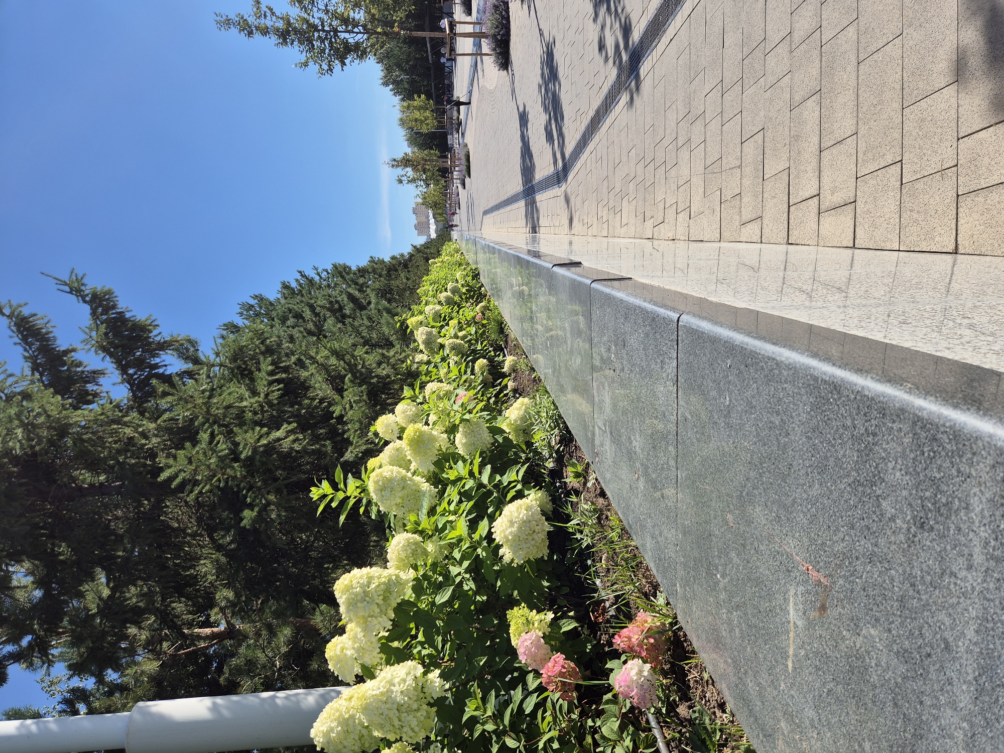 The image depicts a sunlit urban park in Astana, Kazakhstan, on a clear day. A paved walkway with a patterned stone surface stretches into the distance, lined by trees and manicured greenery. A low, granite-like wall separates the walkway from a flowerbed filled with white and pink hydrangeas. In the background, more trees and buildings are visible, along with a few individuals strolling along the path. The overall impression is one of a well-maintained public space designed for recreation and relaxation.