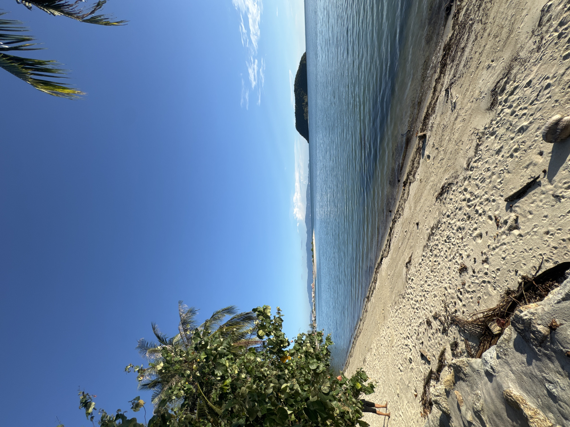 The image depicts a serene tropical beach scene on Koh Phangan island, Thailand. In the foreground, a sandy beach is dotted with rocks, dried leaves, and driftwood. A person wearing black shorts is standing on the sand, partially obscured by lush green foliage from a tree. To the left, palm fronds hang from a tree. The calm, blue ocean stretches towards the horizon, where a small, verdant island can be seen in the distance. The sky is a clear, bright blue, with a few wispy white clouds. The scene conveys a peaceful and natural environment.