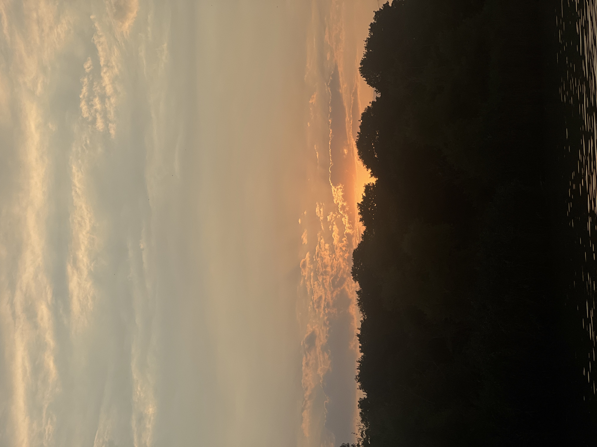 This is an outdoor, vertical, medium-shot photograph of a sunset over a silhouetted treeline, with a body of water in the foreground. The sky is filled with soft, muted colors of orange, yellow, and cream. Wispy clouds are scattered throughout the sky, some catching the light of the setting sun. The sun itself is partially obscured by clouds and the treeline, casting a warm glow. The treeline is a dense, dark silhouette of various trees, their shapes irregular and varied. Below the trees, a dark body of water is visible, reflecting the colors of the sunset in short, horizontal streaks. The overall atmosphere is peaceful and serene. The location is described as Unknown, Unknown.