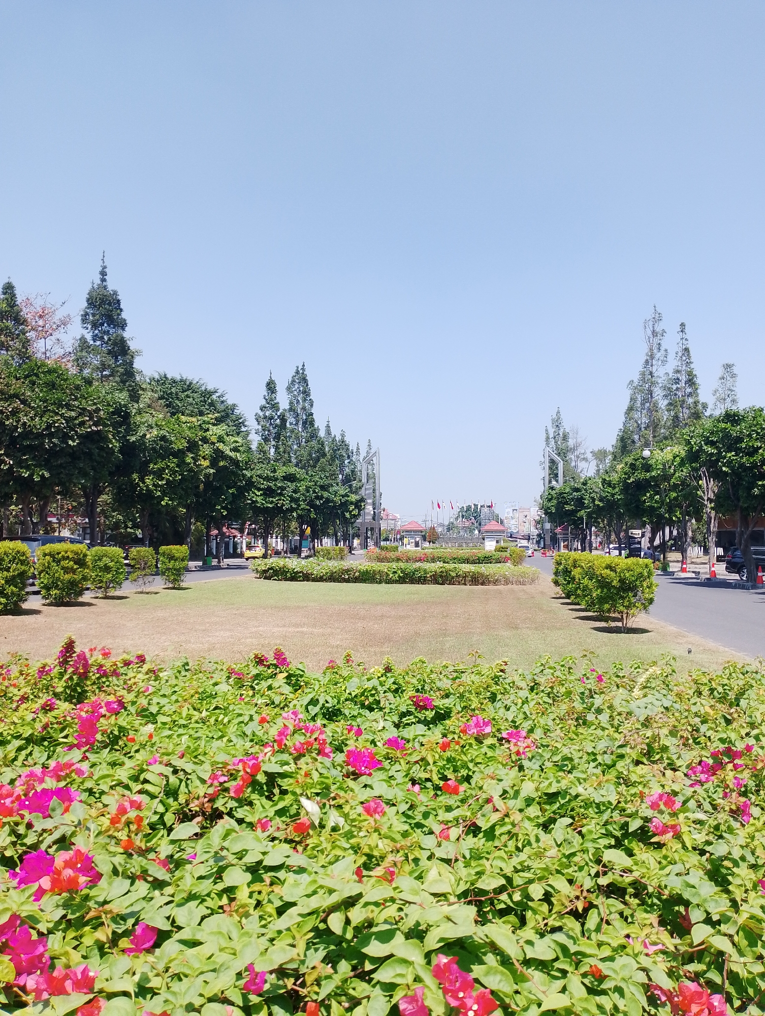 This is a daytime, eye-level, medium shot of a tree-lined street and a park area in Depok, Indonesia. The foreground is dominated by a bed of green bushes with bright pink and red flowers. Beyond this, a dry, brown grassy area separates the flowerbed from a paved road with a median strip. The median strip is also planted with bushes and a few trees. On either side of the road, more trees create a canopy effect, with some buildings and a few cars visible in the background. The sky is clear and blue. The overall scene depicts a well-maintained urban green space.