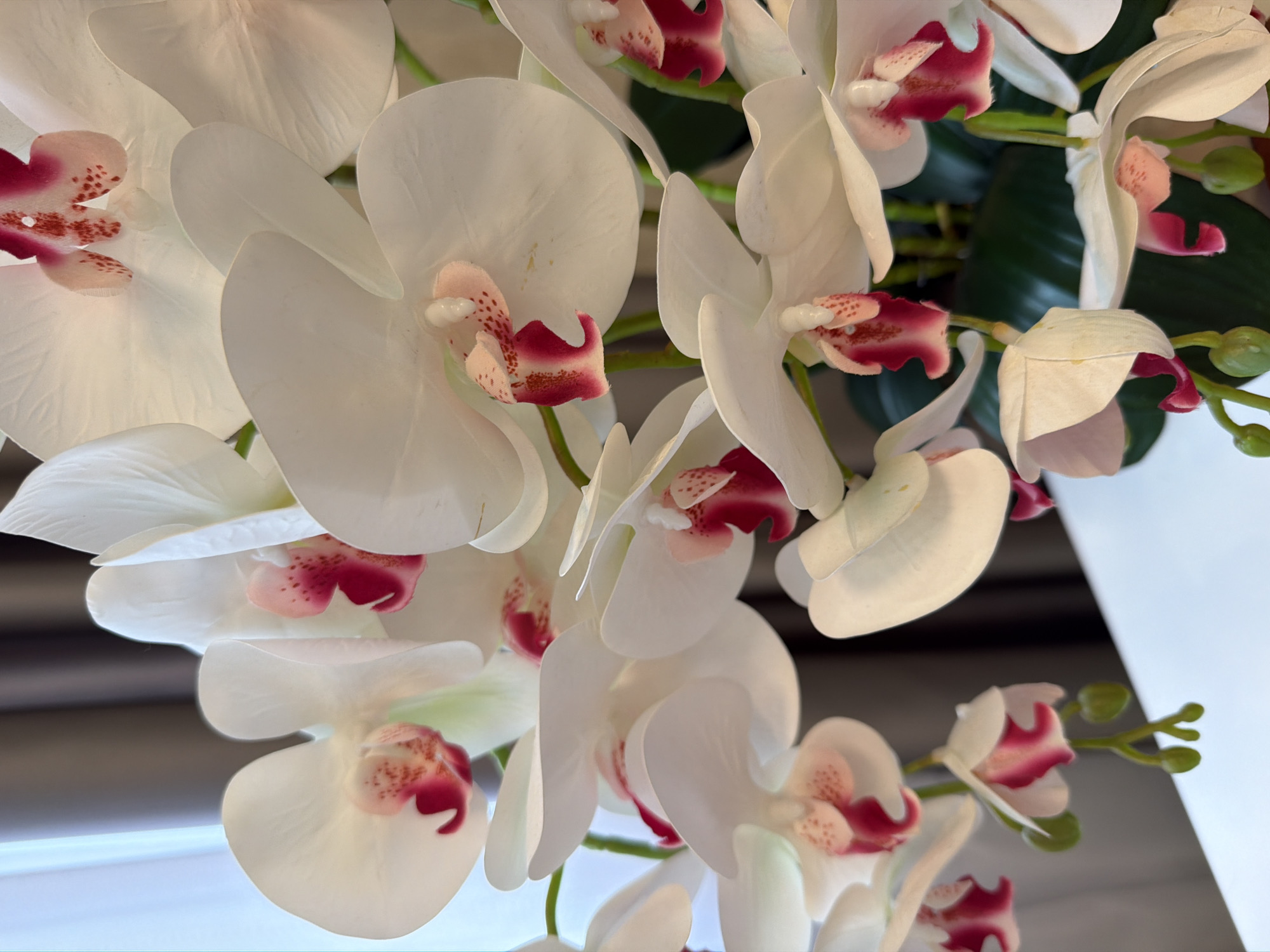 A close-up, eye-level, medium shot captures a dense arrangement of artificial white orchids with deep pink centers. The orchids are positioned in the foreground, with their delicate petals and intricate floral structures filling the frame. The background consists of a blurred interplay of soft brown curtains and a light blue element, possibly a window or wall, creating a gentle contrast to the floral subjects. The overall lighting is soft and diffused, highlighting the texture and form of the orchids. The image appears to be taken indoors, with the orchids likely displayed as a decorative element.