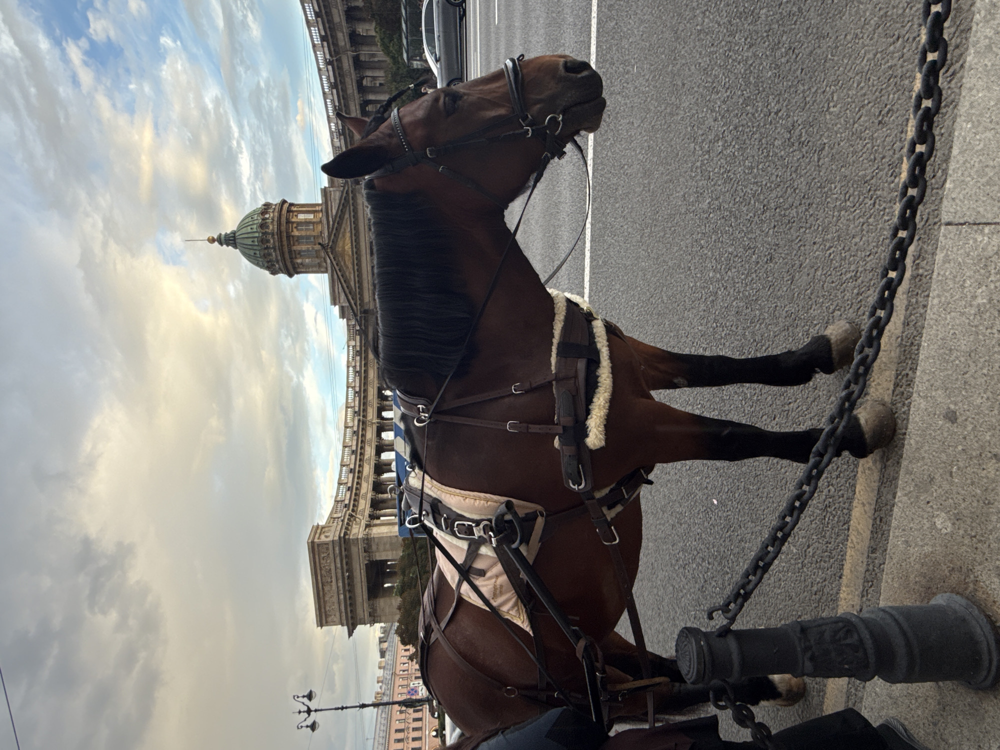 A brown horse stands harnessed to a carriage, facing right, on a paved street in Saint Petersburg, Russia. The horse has a dark mane and tail, and is fitted with a leather bridle and harness. A light-colored pad is visible under the saddle area. In the background, the Kazan Cathedral, an iconic landmark of Saint Petersburg, is prominent. The cathedral features a large green dome, a semi-circular colonnade, and classical architectural elements. The sky above is partly cloudy with a mix of grey and light blue hues, suggesting it might be late afternoon or early evening. A black metal fence with a chain barrier separates the street from a walkway or sidewalk in the foreground. A grey car is visible on the street to the right of the horse. The overall scene depicts a horse-drawn carriage service operating in the vicinity of a significant historical and architectural site in the city.