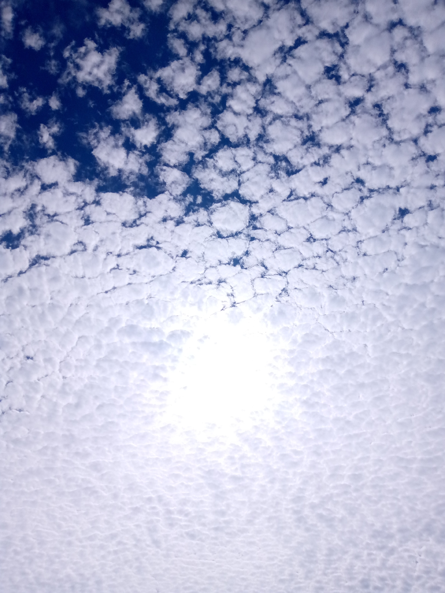 The image shows a bright, sunny sky filled with altocumulus clouds. The upper portion of the image shows a deep blue sky visible between the puffy, white clouds. Towards the bottom of the frame, the clouds become thicker and whiter, obscuring the blue sky, with the sun appearing as a bright, hazy spot. There is no information present in the image that would indicate the location to be Juan Griego, Venezuela.