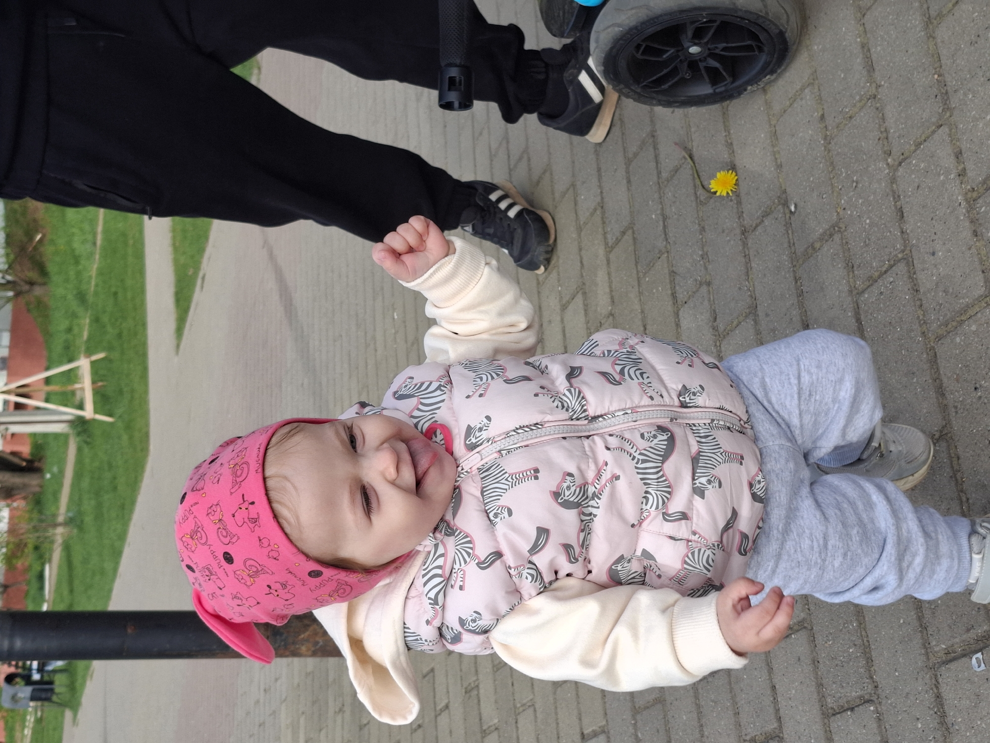 A baby wearing a pink hat and a pink zebra-patterned vest over a cream-colored sweater and gray sweatpants lies on a paved surface. The baby is smiling and sticking out their tongue. A person wearing black pants and Adidas sneakers stands nearby. A child's tricycle is partially visible. A single dandelion grows near the tricycle wheel. The location is likely in Chaikovsky, Russia, based on the instructions.