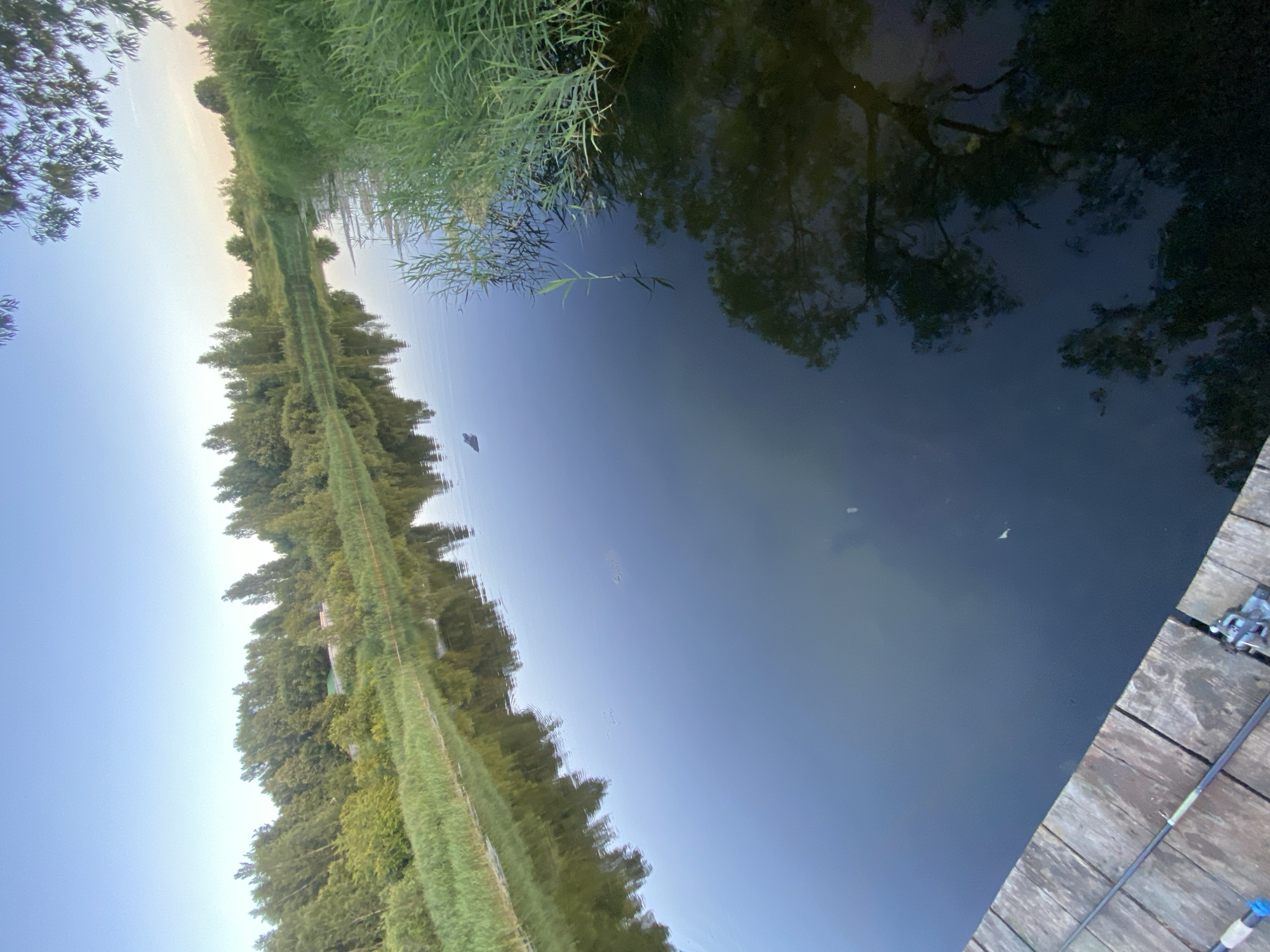 The image captures a serene waterscape, likely a river or calm lake, viewed from a wooden dock. The perspective is unusual, with the scene rotated clockwise, making the water appear on the right and the sky on the left. The water's surface is dark and reflective, mirroring the lush green foliage that lines the opposite bank. Trees and tall grass create a dense border, with their reflections shimmering in the water.
In the distance, along the shoreline, a narrow path or trail is visible, bordered by grass and trees. The sky is a clear, pale blue, transitioning to a lighter shade near the horizon, suggesting it might be late afternoon or early evening. The overall atmosphere is peaceful and natural, with the stillness of the water emphasizing the tranquility of the setting.
On the wooden dock in the foreground, fishing equipment is visible, including a fishing rod with a reel. This hints at the activity of fishing, or at least the preparation for it. The wooden planks of the dock are weathered and aged, adding to the rustic charm of the scene. There are no people visible in the image. The lighting suggests a calm day, with soft light illuminating the foliage and the sky.