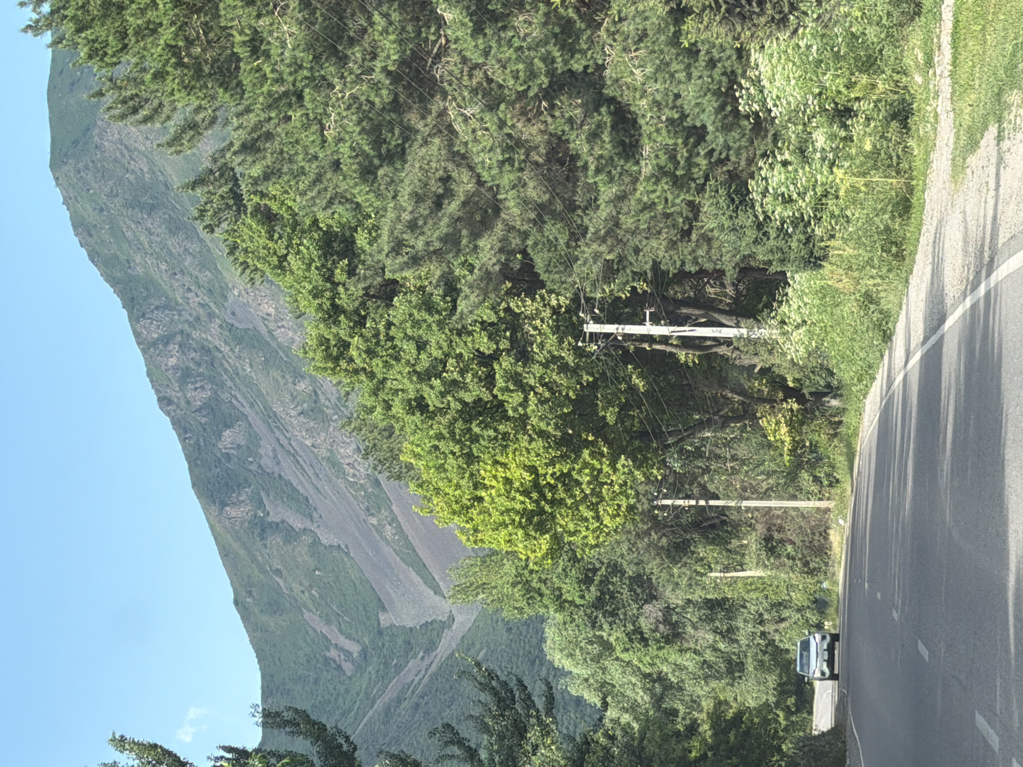 In a wide, paved road with white lane markers, a silver SUV drives away from the camera. The road is bordered on the right by a grassy area with flowering plants and trees, and on the left by a dense forest. Beyond the trees, a large, rugged mountain rises under a clear blue sky. Utility poles with wires are visible along the roadside. The scene is set in a natural, mountainous environment.