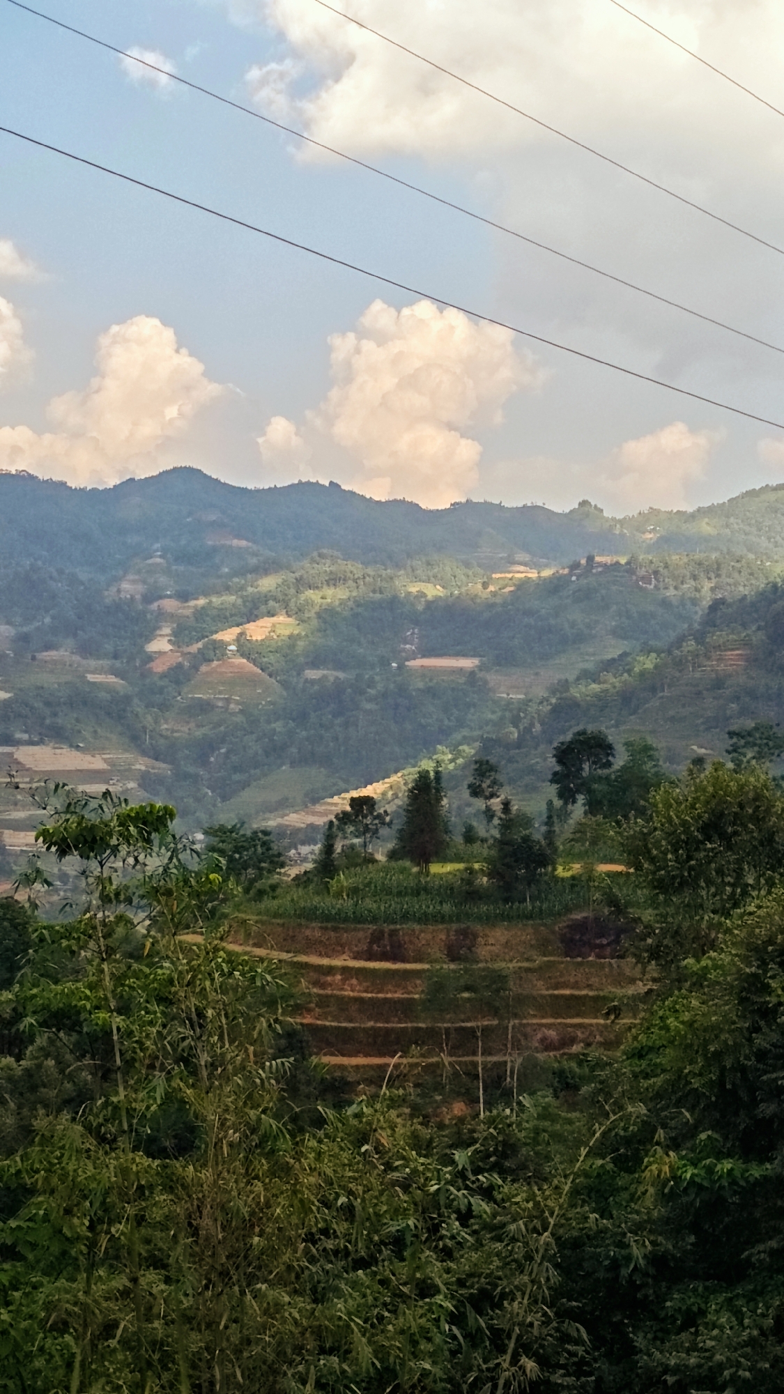 The image depicts a mountainous landscape in Pờ Ly Ngài Commune, Vietnam. Hills covered in lush green vegetation and cultivated terraces dominate the scene. In the foreground, dense foliage obscures the lower part of the image, with bamboo and other trees prominent. In the midground, terraced fields climb a hill, with crops planted on each level. The background features a range of mountains, their slopes adorned with scattered structures and agricultural plots, indicating human activity. Above, a blue sky is dotted with fluffy white clouds. Power lines stretch across the upper part of the frame.
