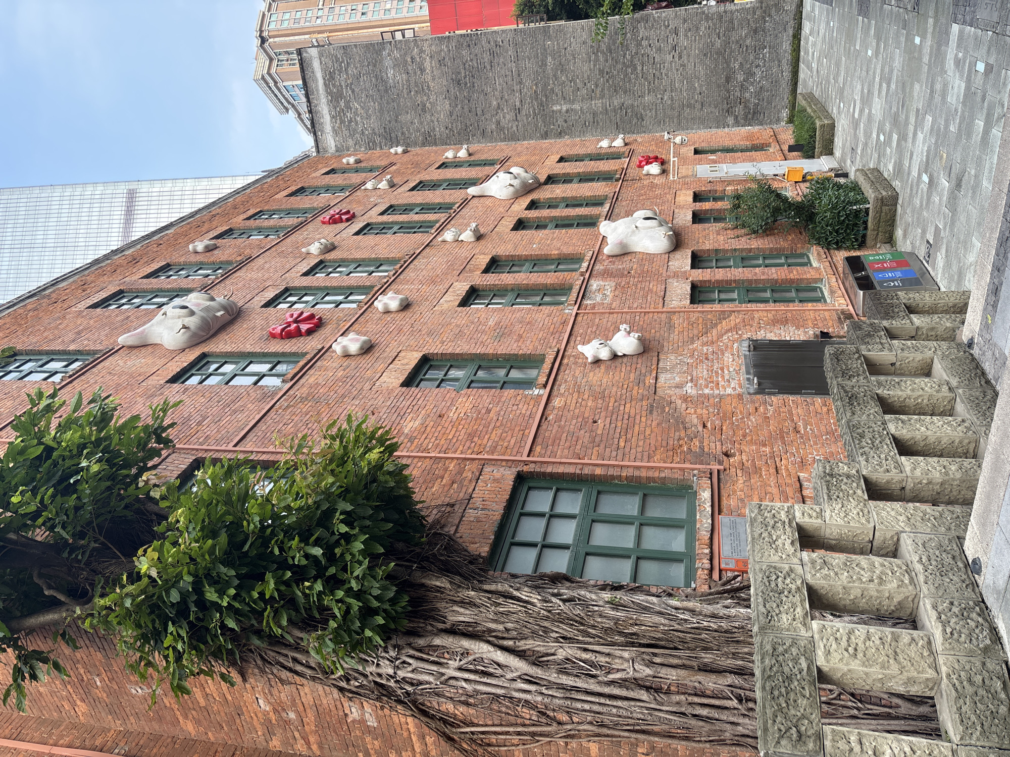 The image presents a brick building adorned with whimsical sculptural elements resembling heads and decorative bows. The building is located in Yuzhong District, China, as suggested by architectural details typical of the area and known landmarks. The building has a grid-like facade with dark green-framed windows. The facade features multiple decorative elements, including sculpted heads and red bow decorations, irregularly spaced across the building's surface. A tree with substantial exposed roots grows along the base of the building, adding a natural element to the urban landscape. Adjacent to the building, a stone staircase structure is visible. The photograph is taken from a low angle, emphasizing the height of the building. The sky is visible above the buildings, appearing overcast.