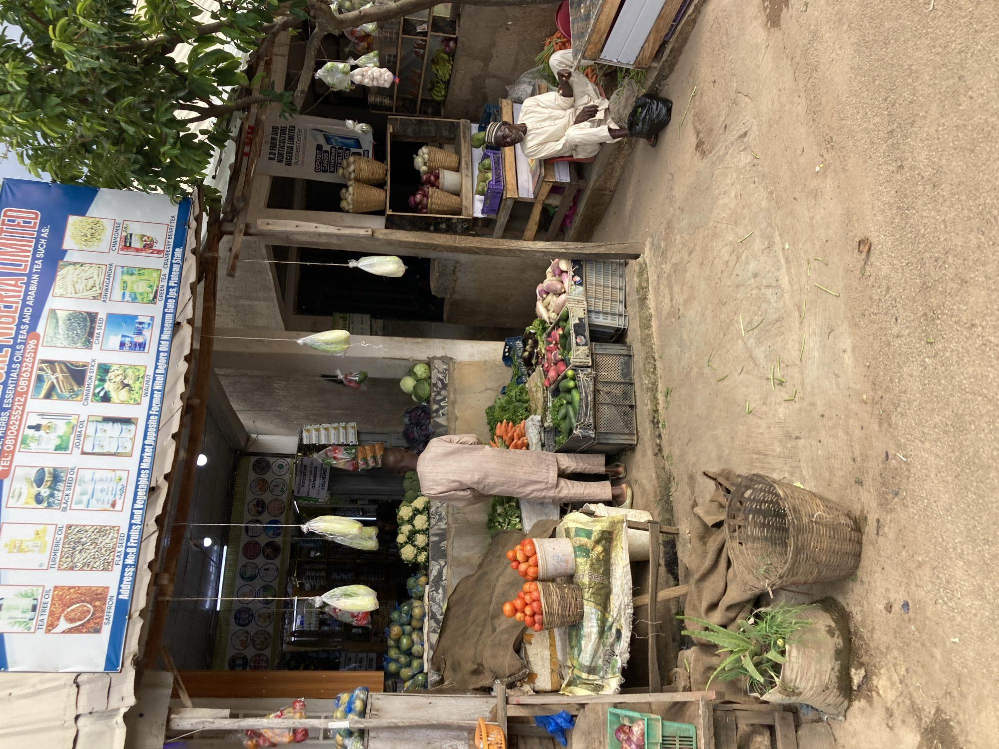 A medium shot captures an outdoor market scene in Jos, Nigeria. In the foreground, a man in traditional attire sits on a low wooden structure, looking to his right. To his left, a vendor, also in traditional attire, stands facing away from the camera, sorting vegetables. The market is stocked with various fresh produce, including tomatoes, carrots, cabbages, cucumbers, and other root vegetables, displayed in baskets, crates, and on burlap sacks. Bags of produce hang from the awning above. The background reveals the interior of a stall displaying packaged goods. A sign above the stall advertises "K.D. Farm and Horticulture Nigeria Limited Business Center." The ground is made of concrete and dirt, with scattered green debris. A mature tree with dense foliage is visible to the right of the market stalls.