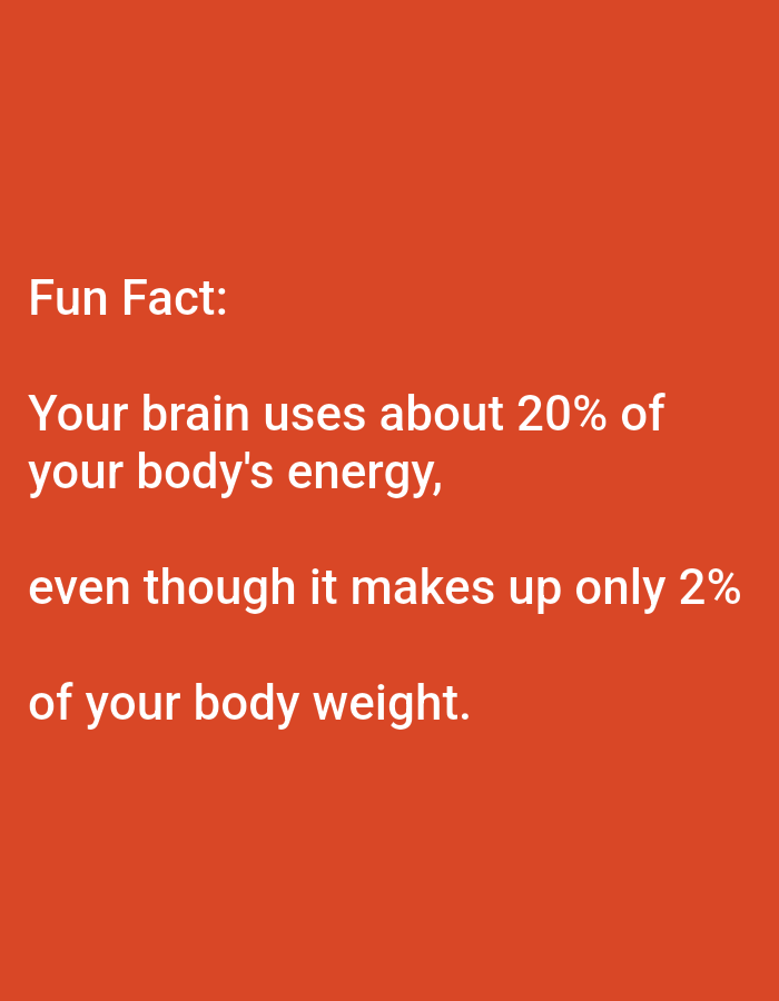The image displays a fun fact about the human brain against an orange background. The text reads: "Fun Fact: Your brain uses about 20% of your body's energy, even though it makes up only 2% of your body weight." There is no information in the image that pertains to Lagos, Nigeria, or any specific location. The image is a static display of text and has no contextual elements relating to a city or geographical area.