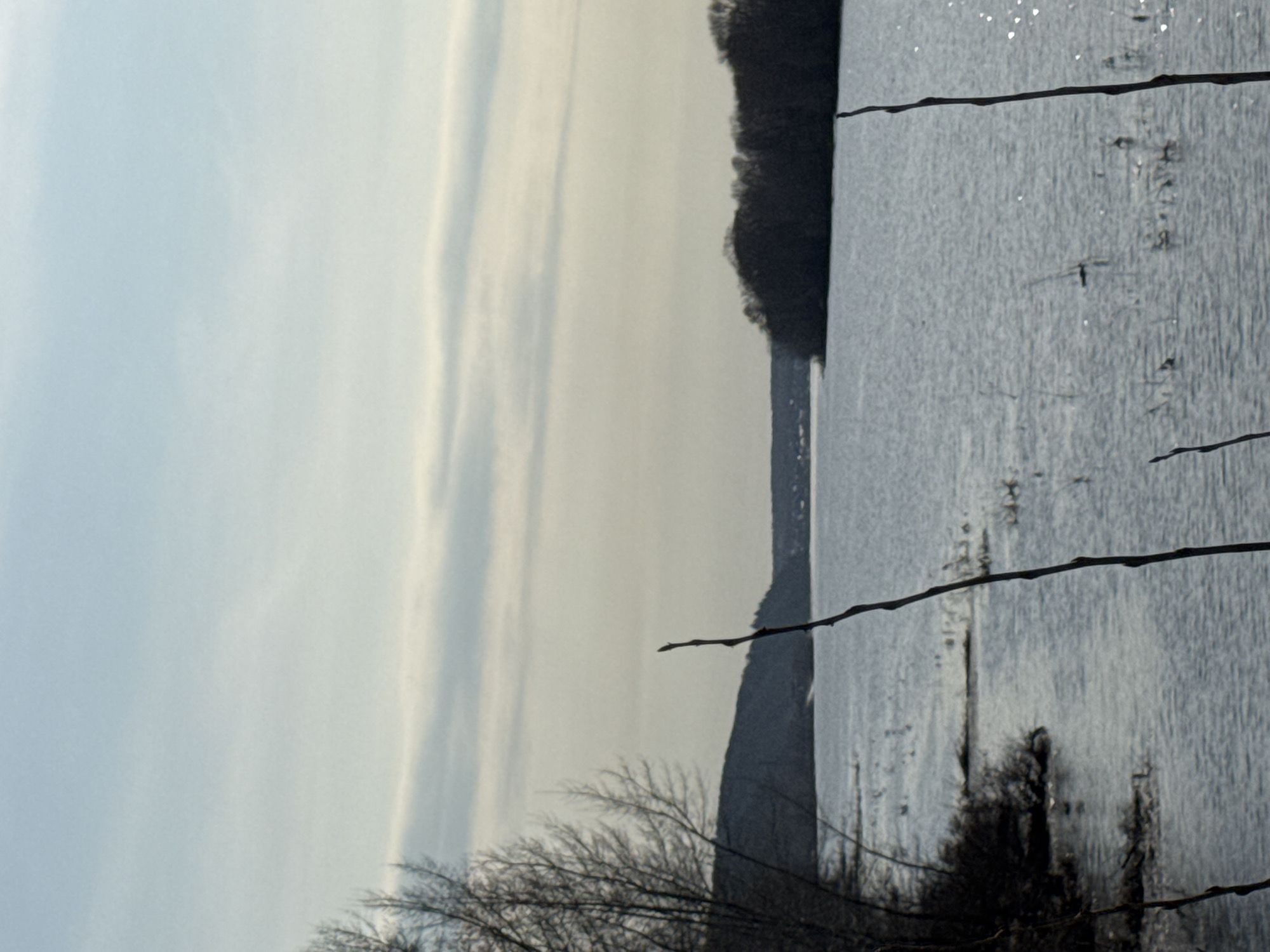 The image depicts a body of water, likely a river or lake, with a forested shoreline on the right side. The sky is overcast with thin cloud cover. Bare branches are visible in the foreground, suggesting it is winter or early spring. The water surface has a textured appearance, potentially indicating ripples or small waves. The image provides a scenic view, likely taken in a natural environment near Chaikovsky, Russia, based on the prompt. Further details about specific objects or people are not available from the provided image.