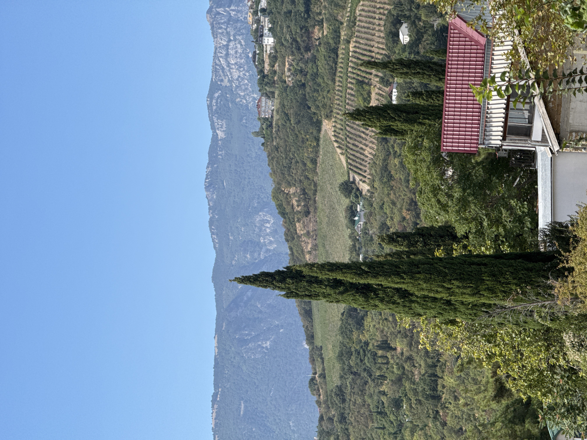 The image captures a sun-drenched, elevated view of the city of Partenit, Ukraine, overlooking a lush, terraced landscape leading up to majestic mountains under a clear blue sky. In the foreground, a prominent residential building with a striking red tiled roof is partially visible, nestled amongst dense green foliage. Adjacent to it, another structure with a corrugated metal roof and white siding is also present. The midground is dominated by meticulously cultivated vineyards, forming distinct rows that climb the rolling hills. These vineyards are interspersed with vibrant green trees and scattered residential buildings, some with white walls and darker roofs. A cluster of tall, slender cypress trees stands sentinel in the middle ground, adding verticality to the scene. In the distance, imposing mountains, tinged with a blue haze, form a dramatic backdrop. The overall impression is one of a serene, rural mountainous setting integrated with residential development and agricultural activity.