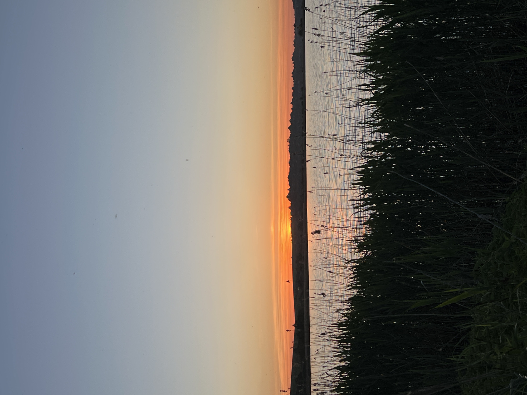 The image shows a landscape at sunset, potentially near the city of Reniv, Ukraine, though this cannot be confirmed from the image itself. The sky transitions from a pale blue on the left to a warm orange as it nears the horizon in the center. The sun is setting, creating a bright orange glow that reflects on the water to the right of the image. In the foreground, tall grass and reeds are visible, obscuring part of the water and creating a dark mass on the right side of the frame. There are no people visible. The water appears calm with some small ripples.