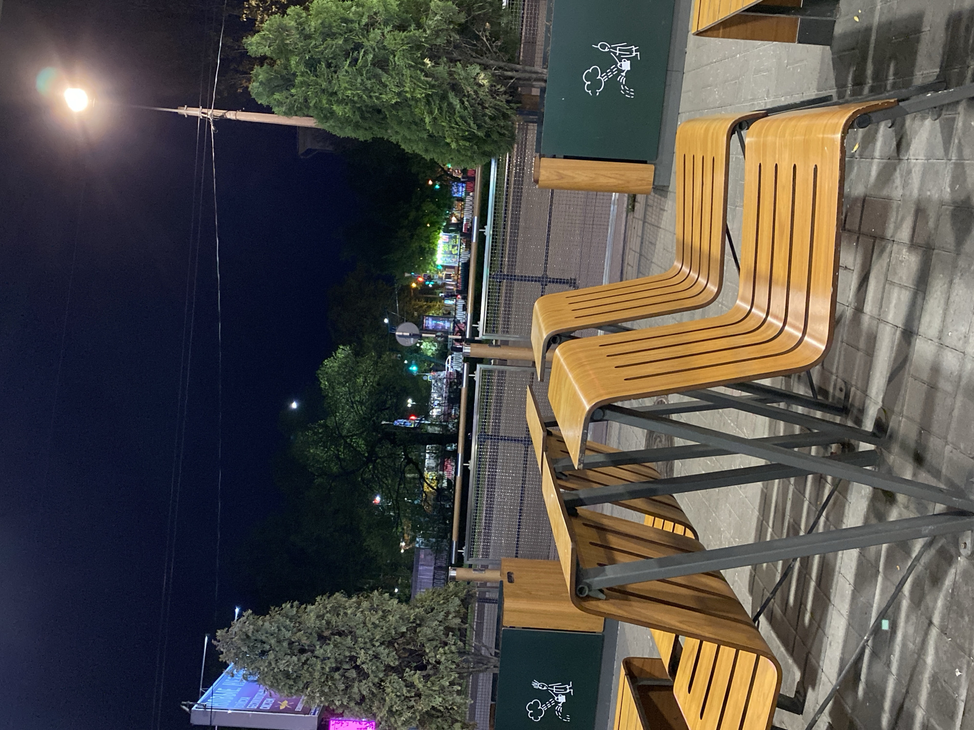 The image shows a row of wooden benches with metal frames, likely located in a public space, possibly a park or pedestrian area. In the background, lights suggest an urban setting, potentially in the city of Saint Petersburg, Russia. The benches are clean and well-maintained, placed on a paved surface. There's a green trash receptacle visible near the benches, adorned with a cartoon graphic depicting responsible dog ownership. In the distant background, a street lined with trees and decorative lights is visible. A streetlight is visible in the upper left.