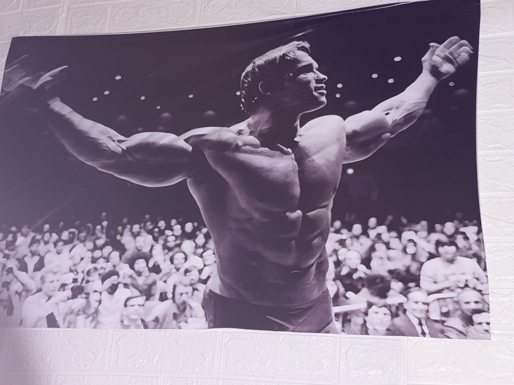 The image is a black and white photograph of a male bodybuilder with his arms raised in triumph in front of a cheering crowd. The bodybuilder, who appears to be Arnold Schwarzenegger, has a muscular physique and is wearing posing trunks. The crowd is a blur of faces and bodies, suggesting a large audience. The background is dark, with some lights visible, indicating an indoor event. The photograph is mounted on a textured white wall, possibly a brick or faux brick surface. There is no information in the image that places it in Chistopol, Russia.