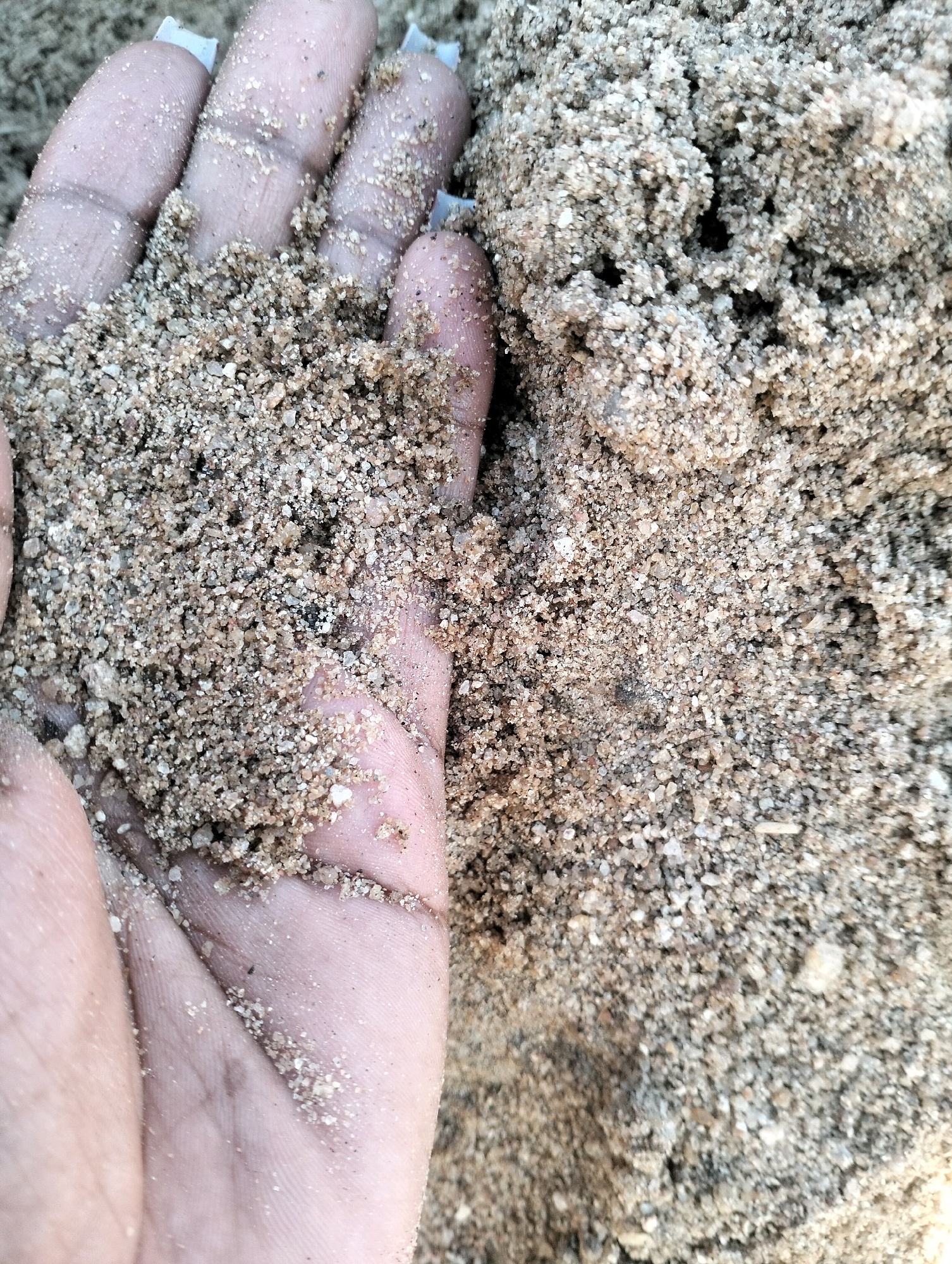 A close-up, eye-level shot shows a person's open palm and fingers filled with coarse, light brown sand. The sand contains small pebbles and granular material. The skin on the hand is light-skinned, and the fingernails are painted white. The background is a blurry mass of the same sand. The scene appears to be a natural environment, possibly a beach or a sandy construction site. The context of Kinanie Ward, Kenya, suggests this could be a general scene from that area.