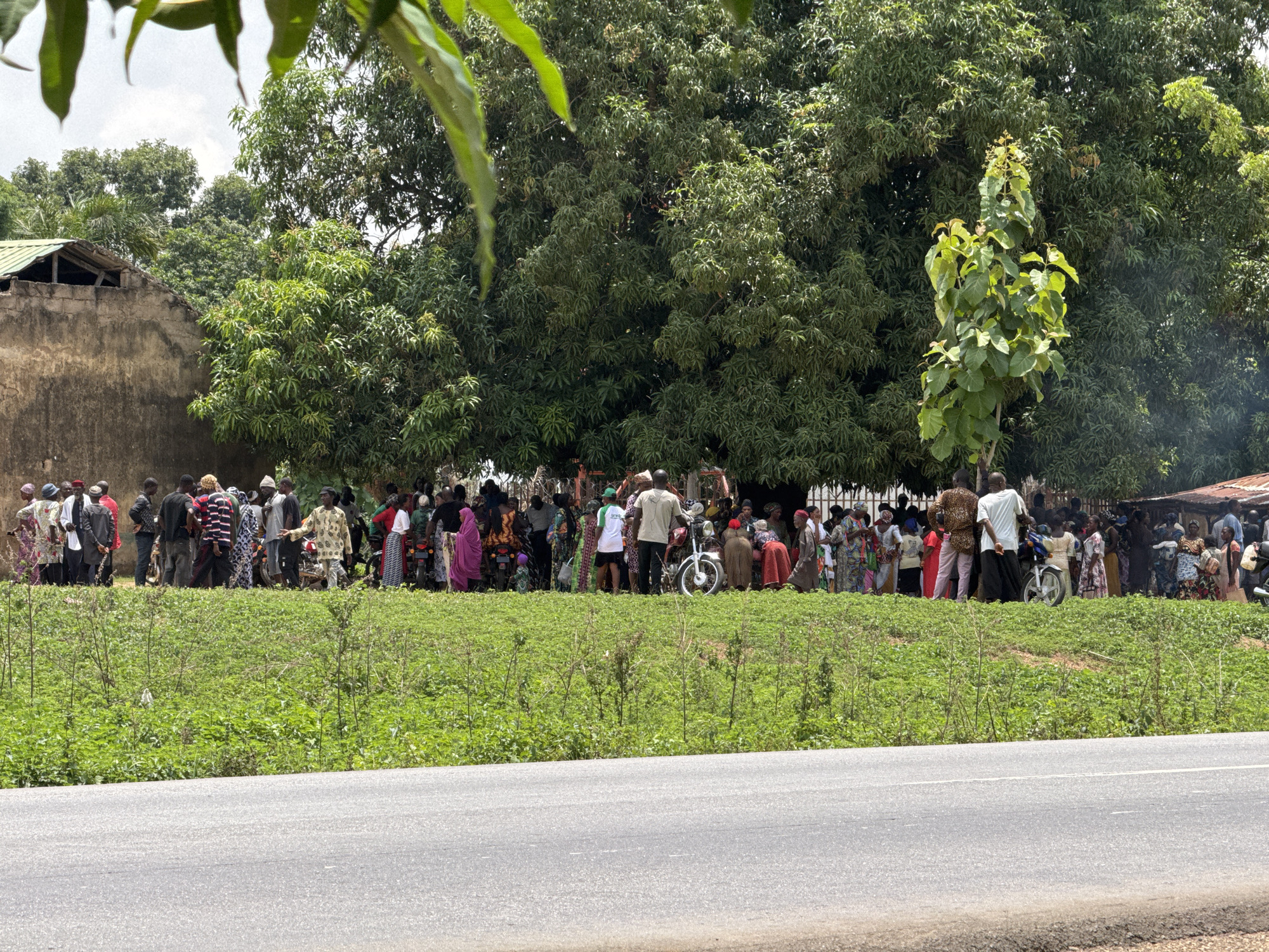 A large group of people stands near a road in Akwanga, Nigeria. The group, comprised of men, women, and children, is densely packed beneath the shade of several large trees. Some people are wearing traditional African clothing, while others are dressed in more casual attire. Several motorcycles are parked among the crowd. A green field separates the group from a gray asphalt road in the foreground. Beyond the group, a building with a corrugated metal roof is visible. The scene appears to be a public gathering, potentially related to a local event or community issue. Smoke is also visible, perhaps from cooking. The photograph is taken from a distance, capturing the scale and diversity of the gathering.
