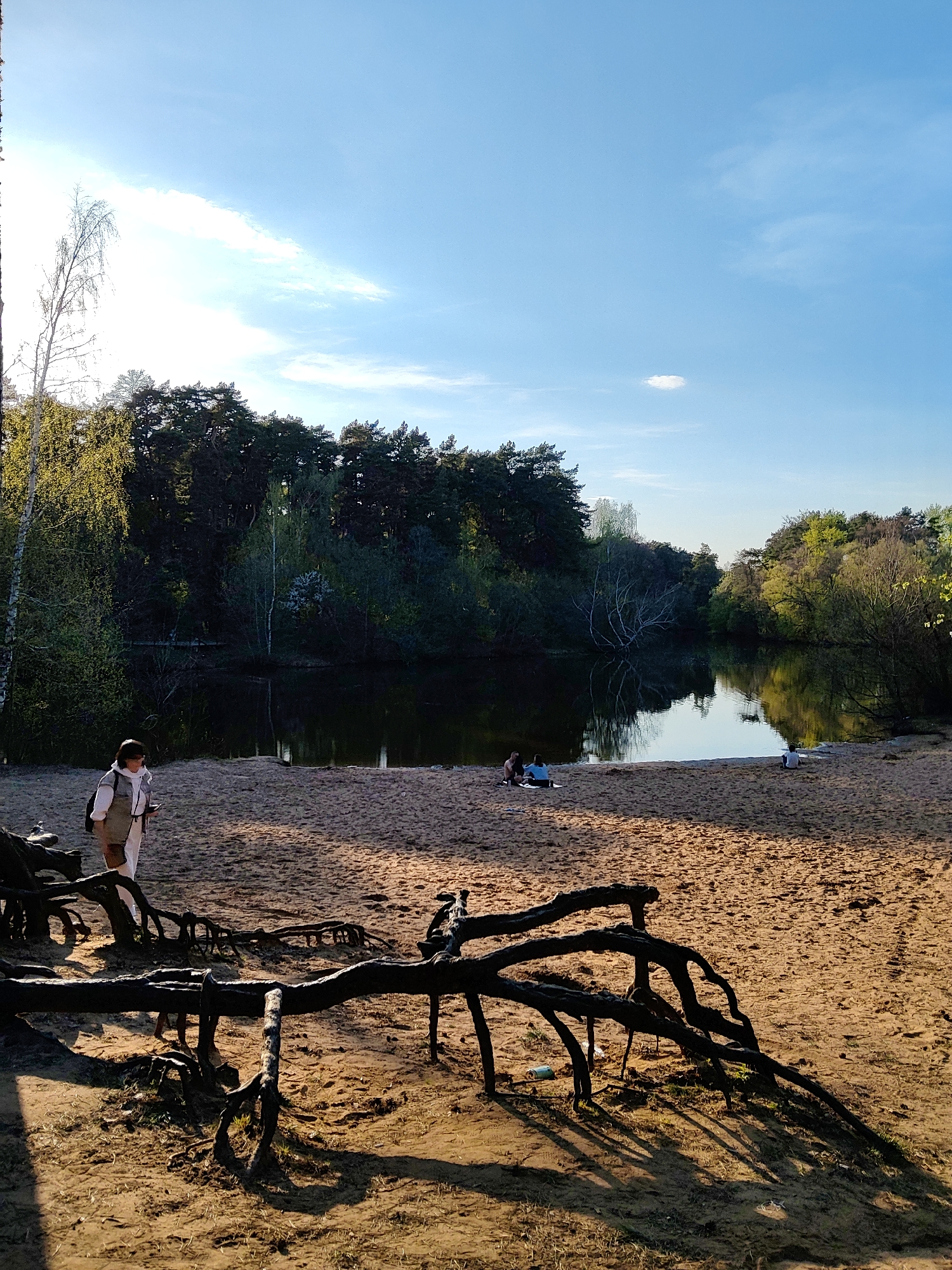 The image shows a sandy beach area next to a body of water, possibly a lake or river. The scene includes people, trees, and fallen tree roots.
In the foreground, there are exposed tree roots casting shadows on the sand. A person in light-colored clothing is walking on the left side of the frame.
In the middle ground, the sandy beach extends towards the water. Two individuals are sitting close together, and another person is sitting alone closer to the water. The water reflects the trees and sky.
The background features a line of trees that borders the water. The sky is blue with a few white clouds.