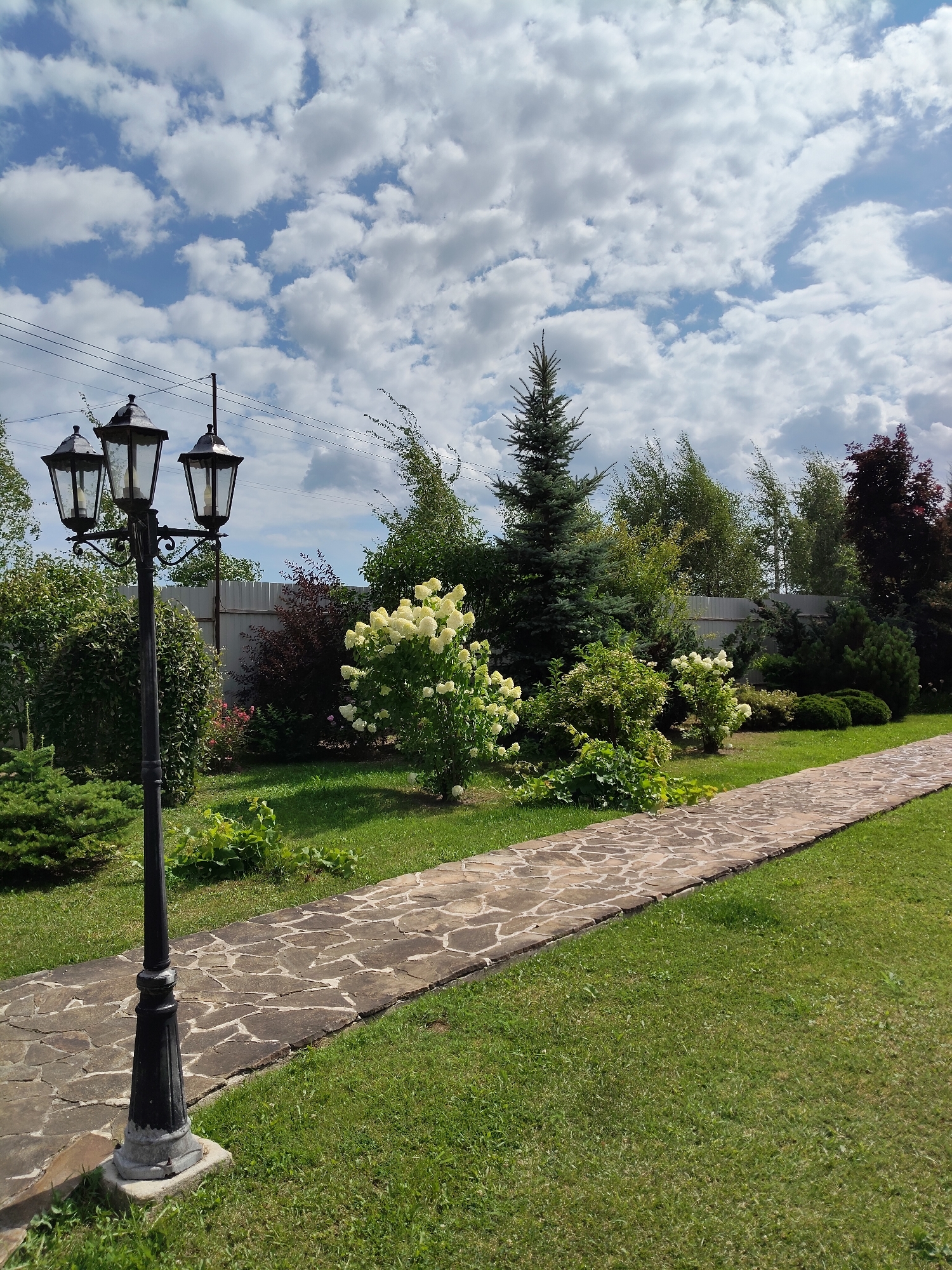 The image depicts a well-maintained garden area in Bogdanovka, Russia. A black, three-globed lamppost stands on the left side of the frame, positioned on a concrete base. A stone pathway, composed of irregularly shaped flat stones, curves away from the viewer into the distance, bordered by lush green grass. Various shrubs and trees, including a tall evergreen tree and a hydrangea bush with white blooms, are visible throughout the garden. In the background, a light-colored metal fence runs horizontally, separating the garden from more distant trees and vegetation. The sky above is a vibrant blue, dotted with scattered white, fluffy clouds, suggesting a pleasant, sunny day. There are no people or animals visible in the scene.