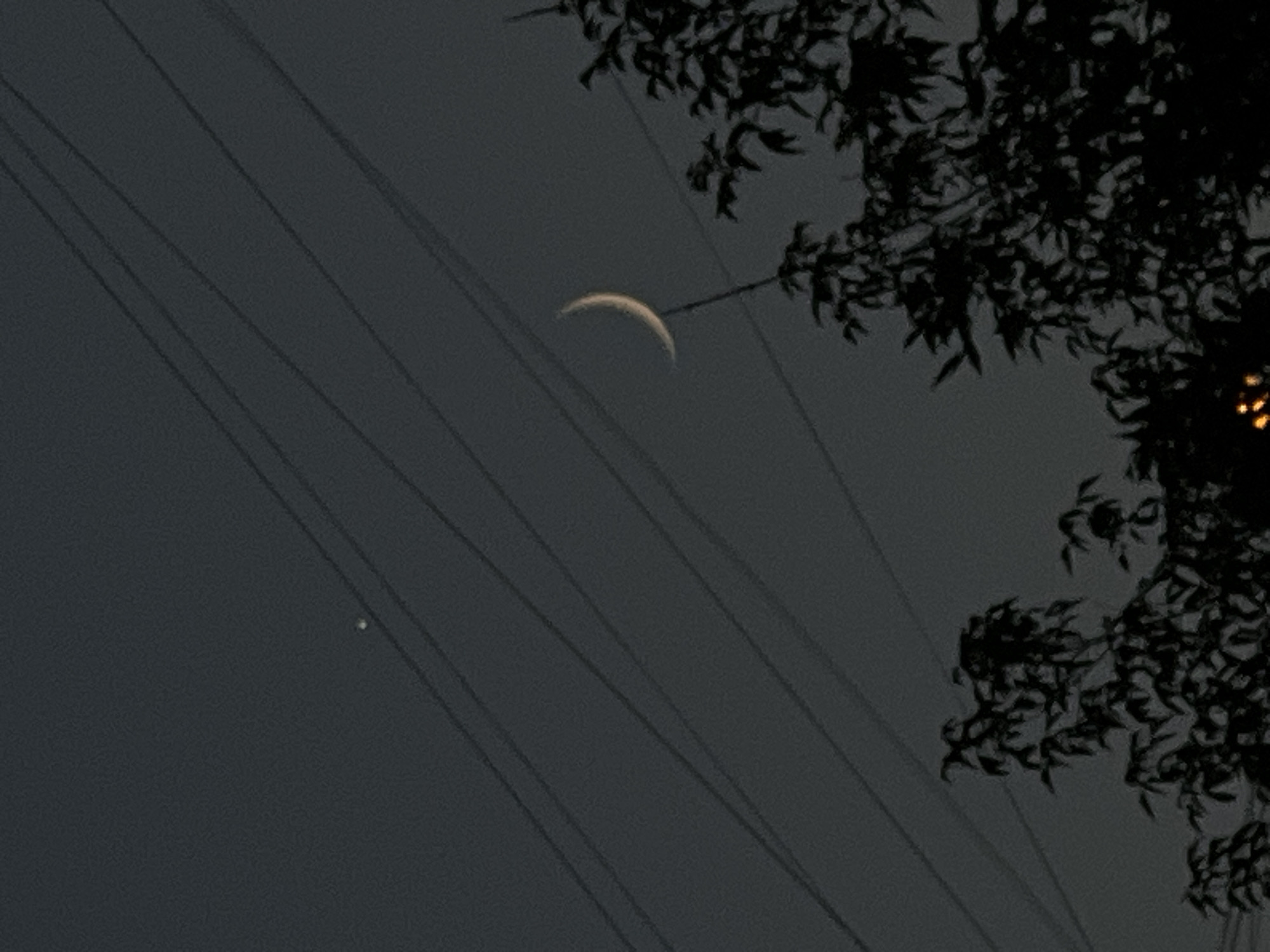 A faint crescent moon hangs in a dark, overcast sky, partially obscured by silhouetted tree branches in the foreground. A bright star or planet is visible to the upper left of the moon. Several power lines crisscross the sky diagonally from the upper left to the lower right. The overall scene is dark and moody, suggesting twilight or nighttime conditions. No people or specific landmarks indicative of Moscow, Russia are visible.