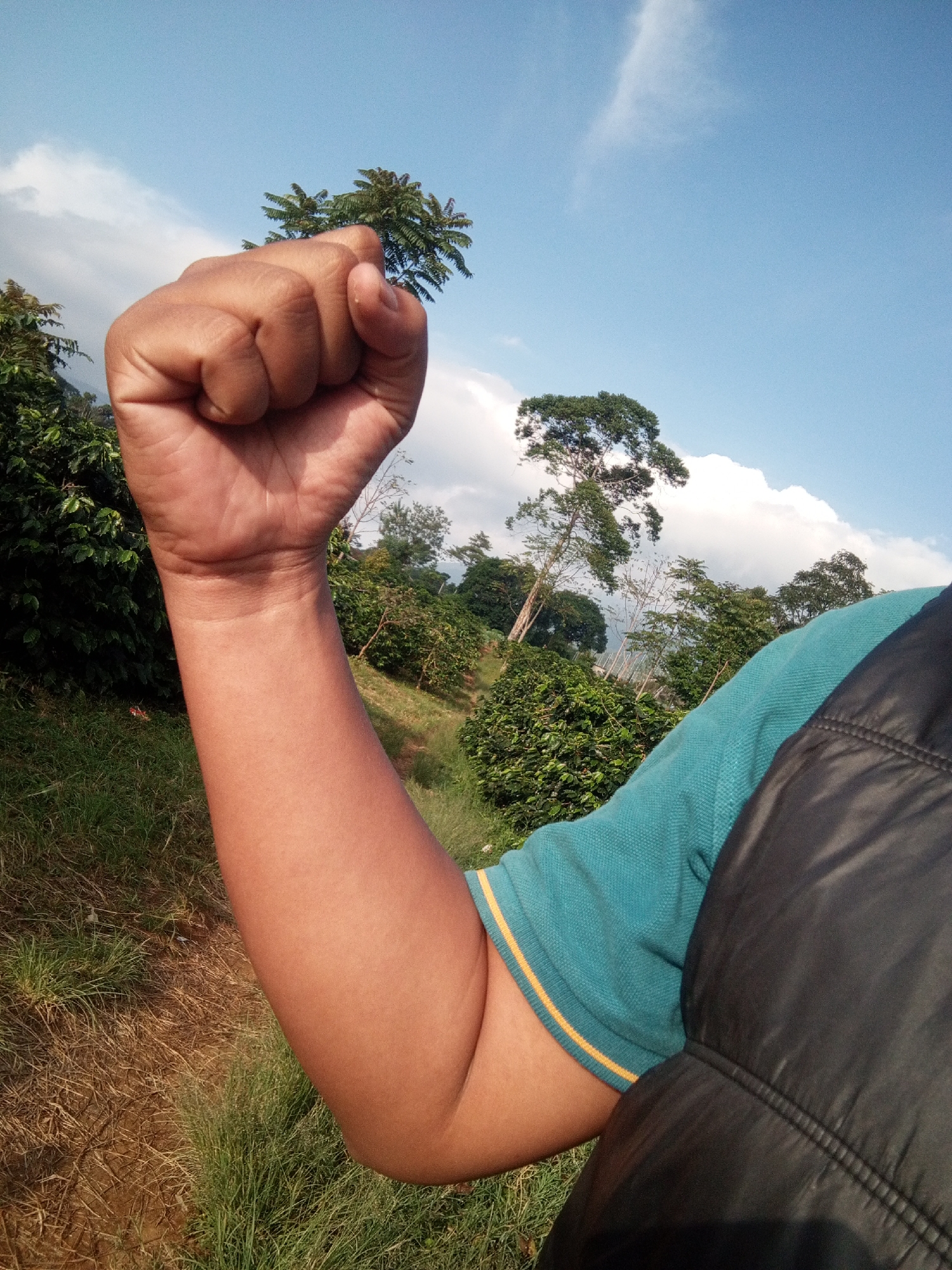 An angled, close-up outdoor shot in Weddagala, Sri Lanka, depicts a human's right arm raised upwards, with the hand clenched into a fist. The arm exhibits a medium-dark skin tone and is clothed in a teal-colored short-sleeved polo shirt featuring two thin yellow stripes on the sleeve cuff. A segment of a black, possibly padded or quilted, garment is visible on the right side of the frame, covering the wearer's torso. The background consists of a clear blue sky with dispersed white cumulus clouds. Below the sky, an extensive agricultural landscape is visible, characterized by lush green foliage, including numerous bushy plants resembling coffee crops, and several taller trees. The ground is covered with green grass and patches of drier earth, with a dirt path traversing the scene.