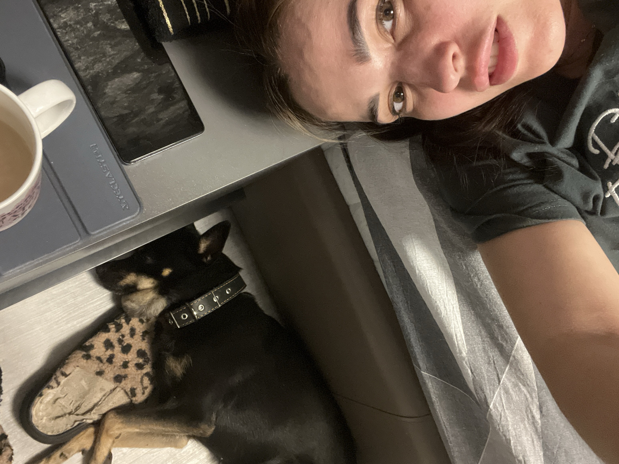 A person lies on a bed next to a small black and tan dog. The dog is wearing a black collar with silver studs and is resting its head on a leopard-print slipper. To the left of the dog, on a gray surface, is a mug containing a light-colored liquid, and a black mobile phone. The location is unknown.